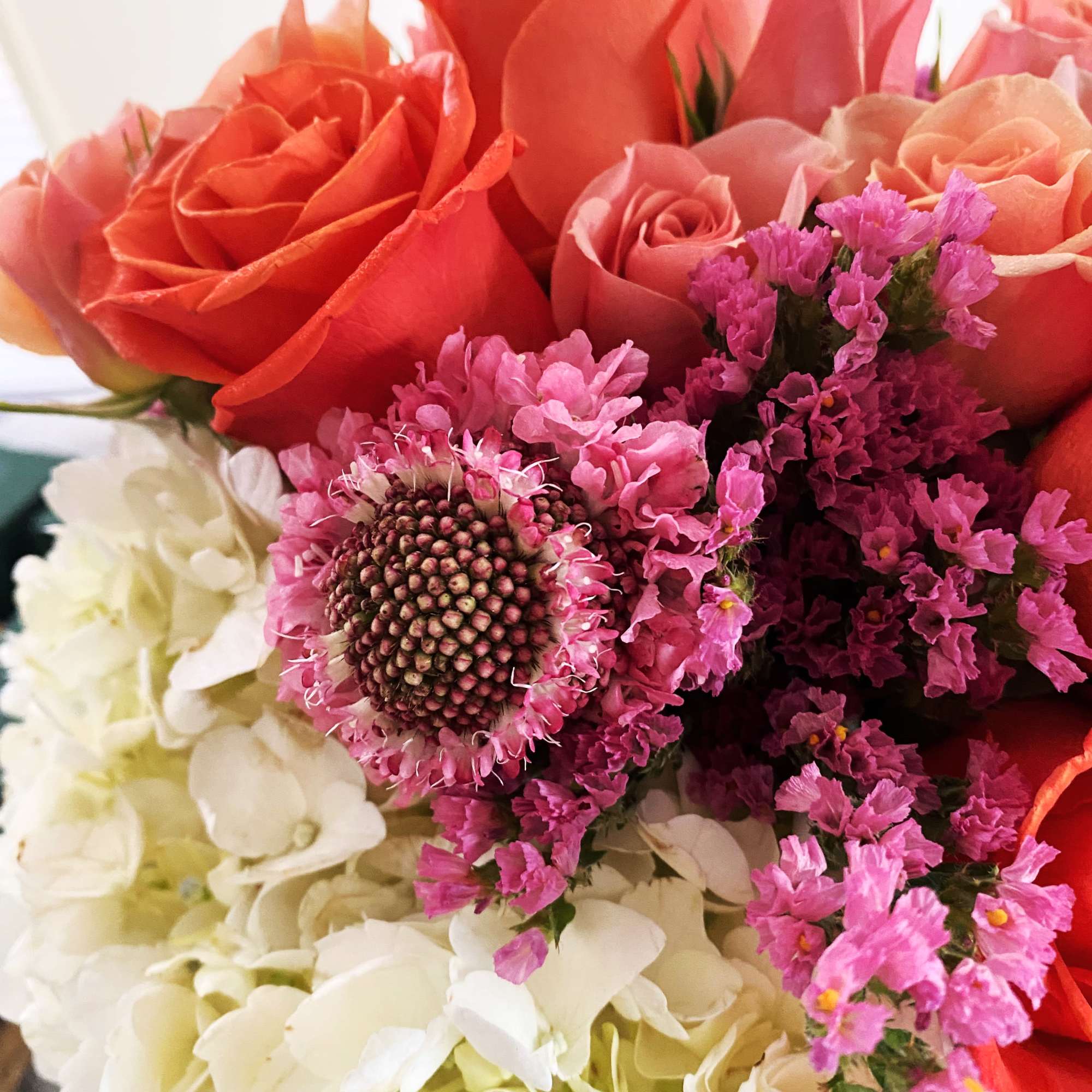 Beautiful simple modern design of  Orange, pink, peach nested on a, photo 3 of 3
