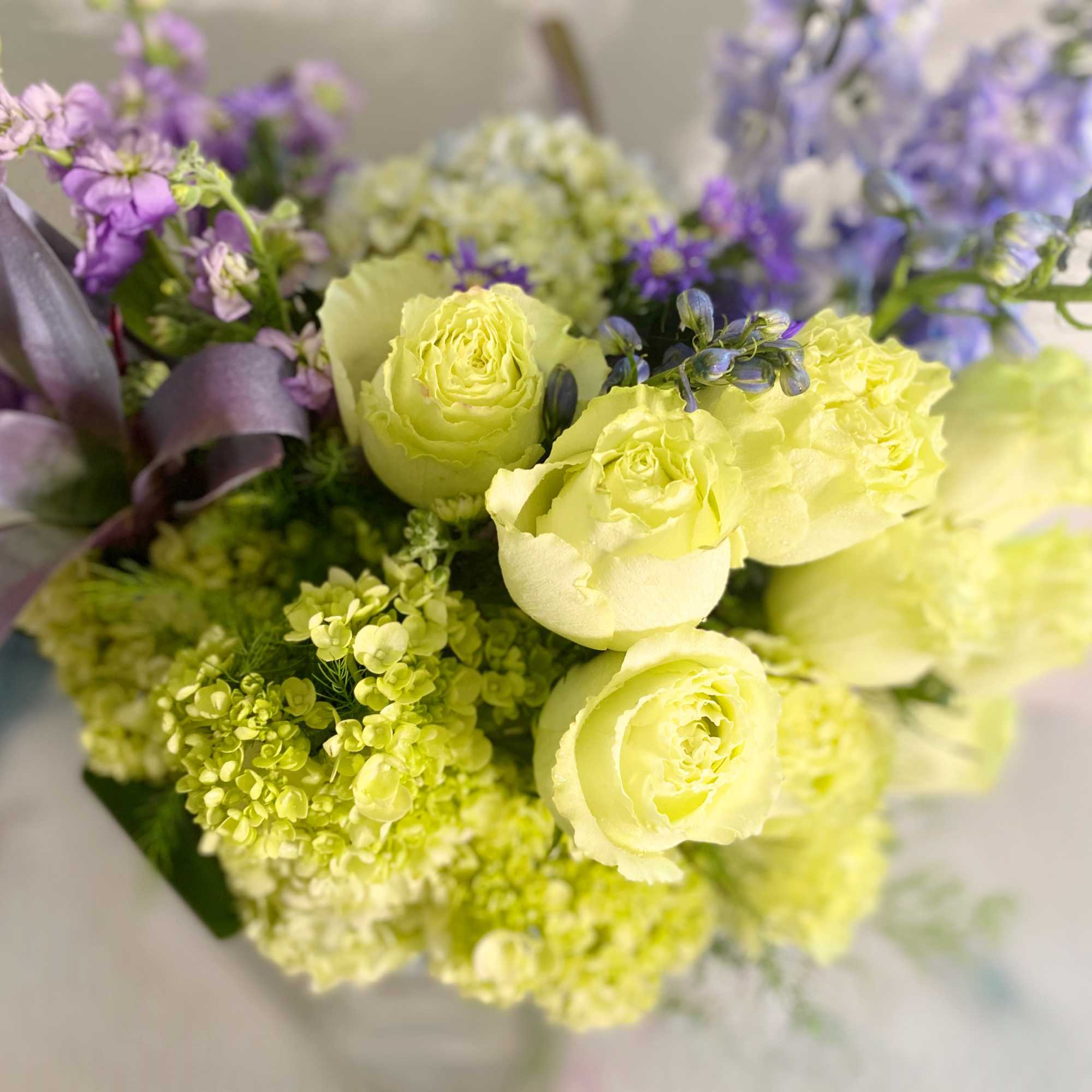 Azure on Green adorning a grouping of 2 dozen green roses with, photo 2 of 2