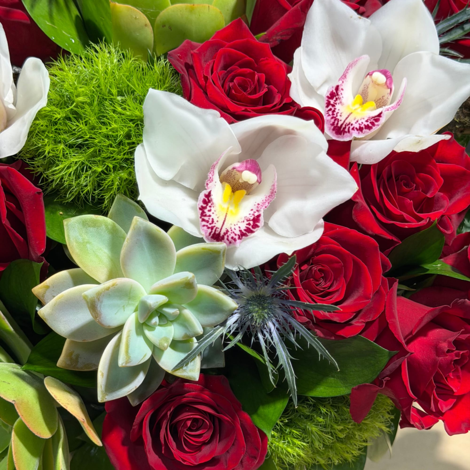 Bouquet of red roses, white orchids, and succulents