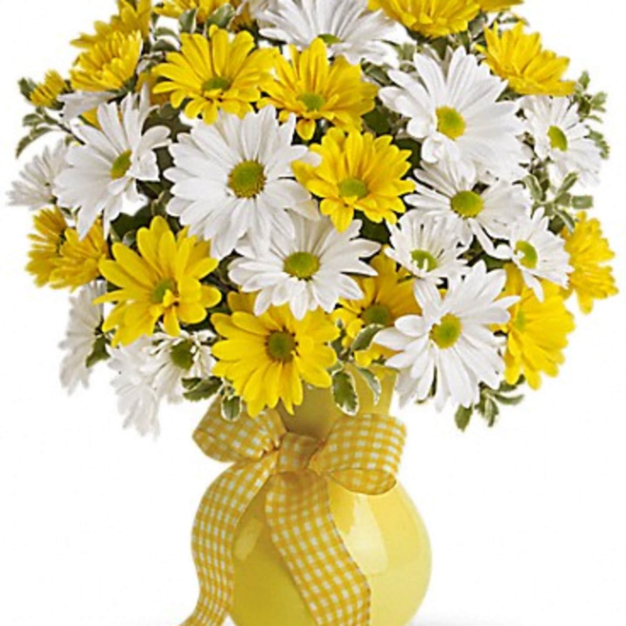 Yellow and white daisy bouquet in a yellow vase with a gingham ribbon