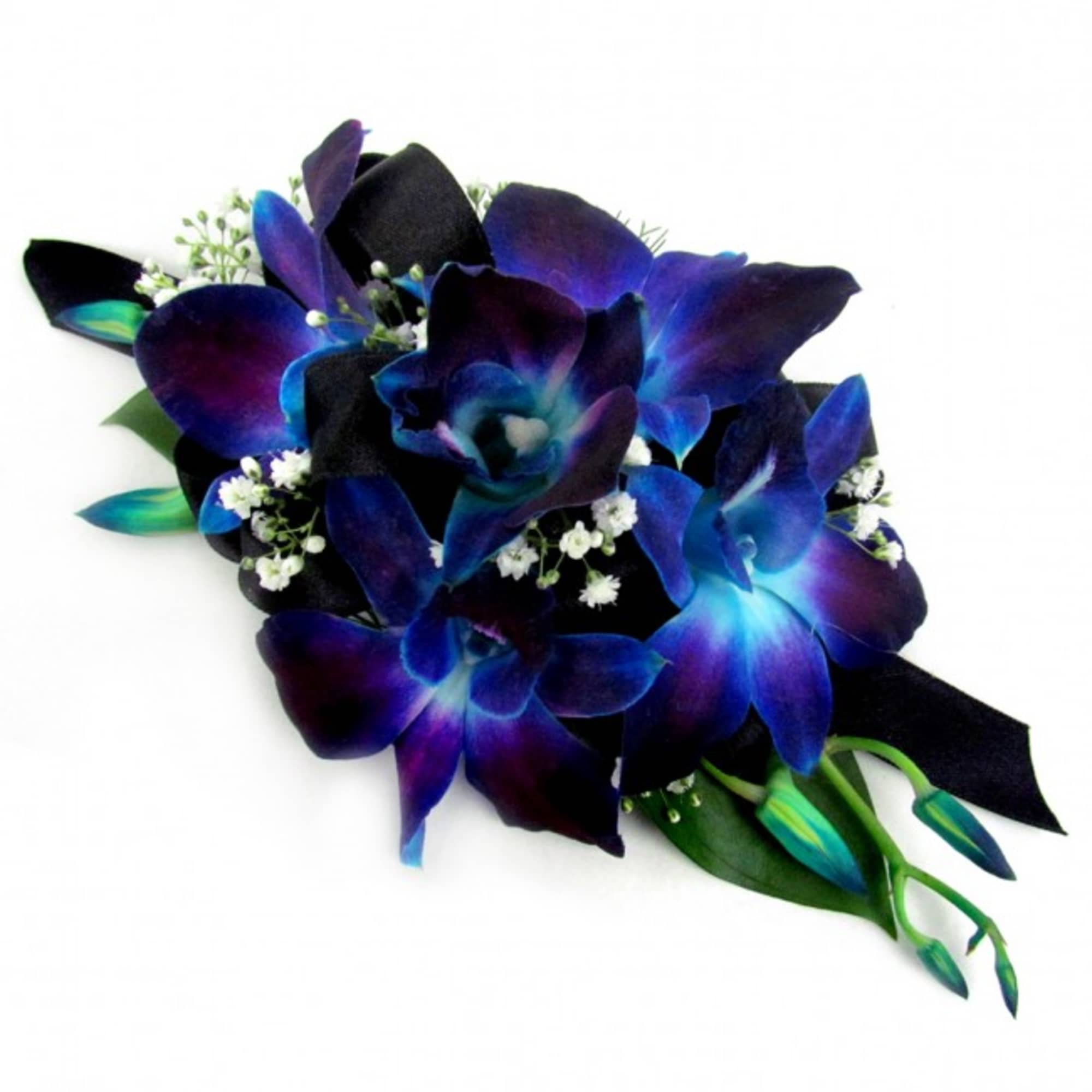 Blue-purple orchid bouquet with black ribbon and white filler flowers