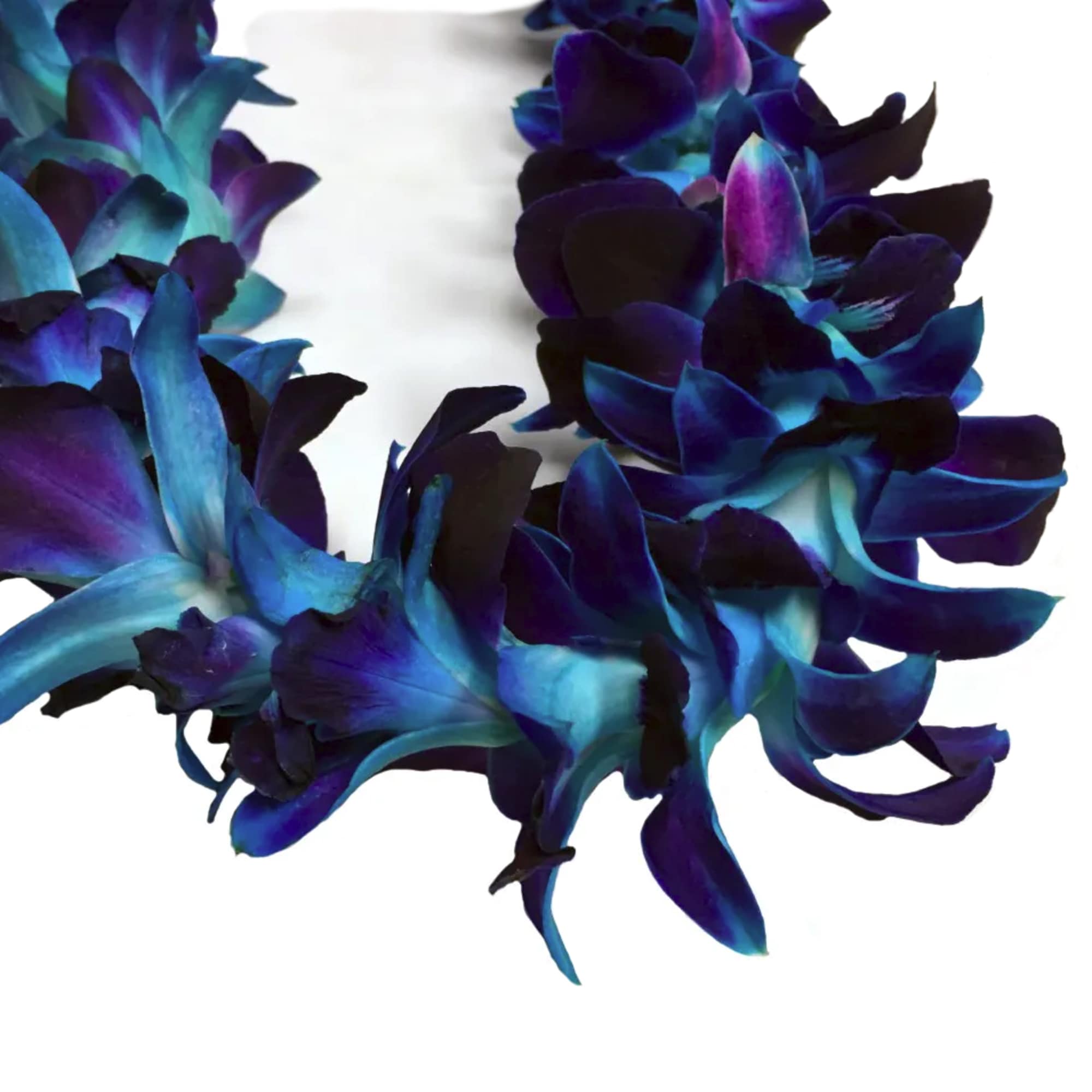 Blue and purple floral garland on a white background