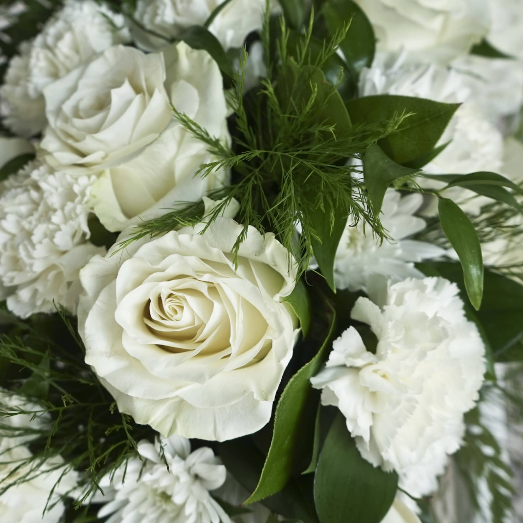 White roses and carnations with green foliage in a bouquet