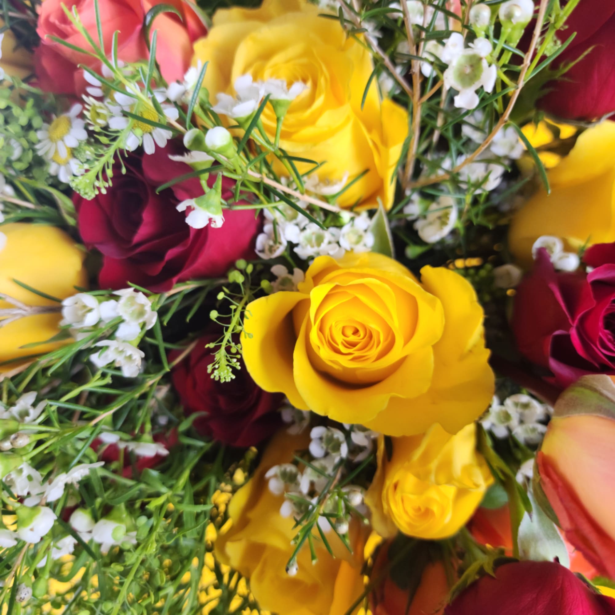 Close-up bouquet of yellow and burgundy roses with small white filler flowers