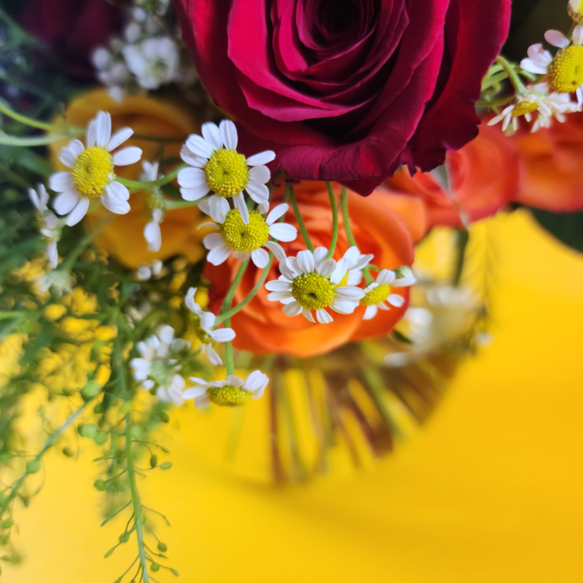 Close-up bouquet with a deep red rose and small white daisy flowers
