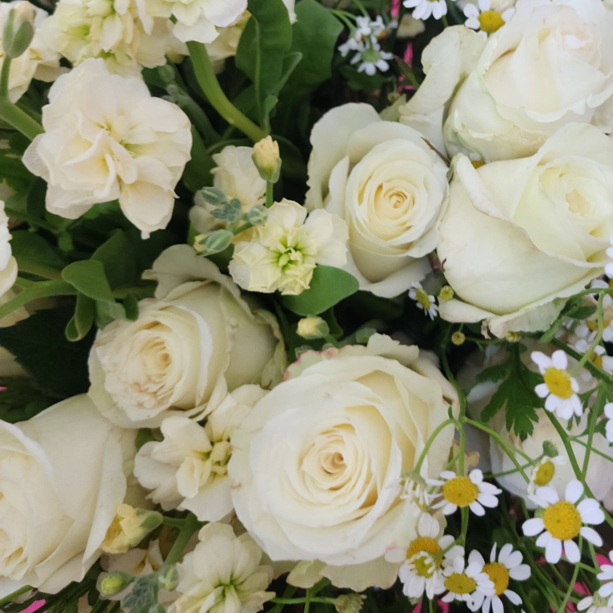 White roses and small daisies in a close-up bouquet