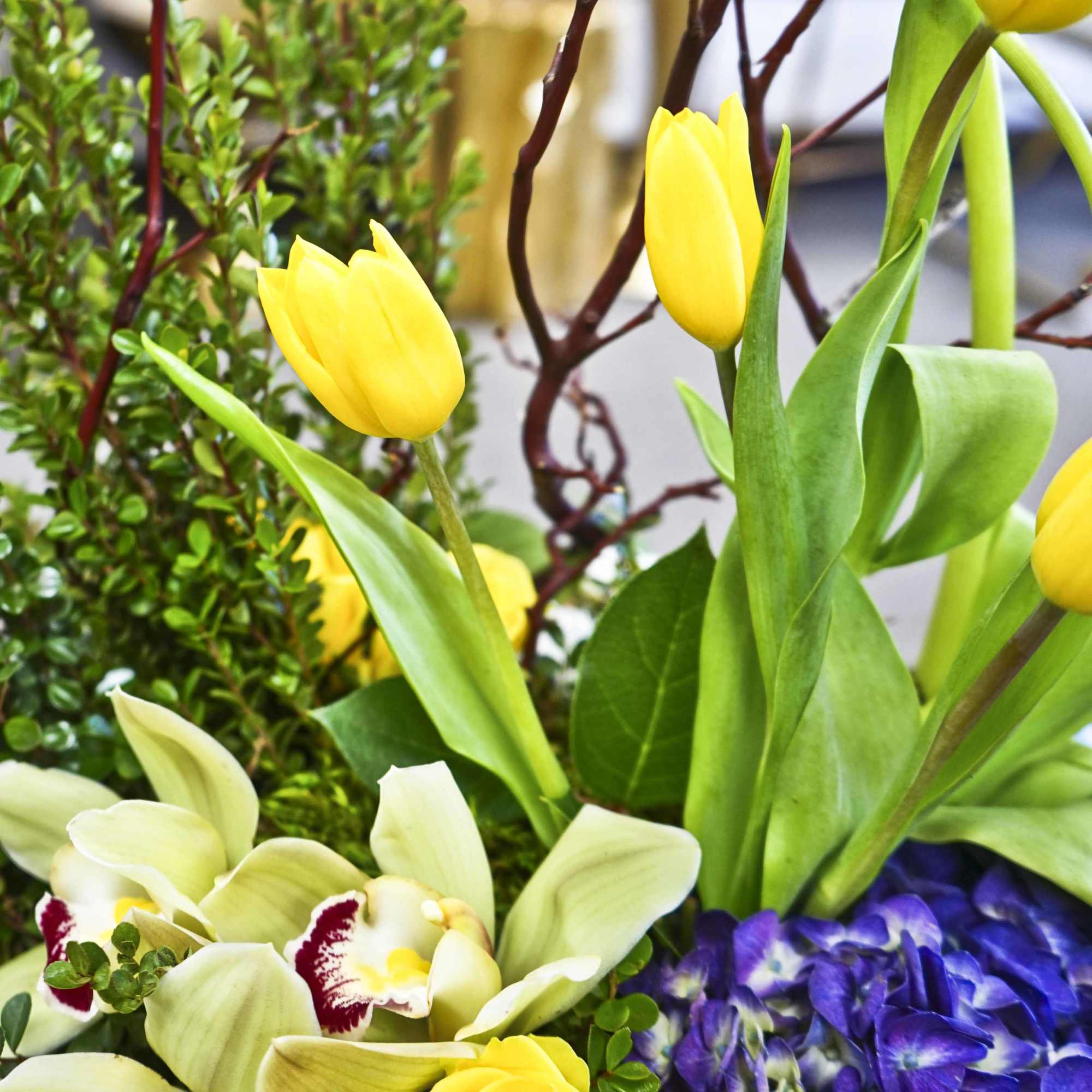 Yellow tulips and pale orchids arranged with purple flowers