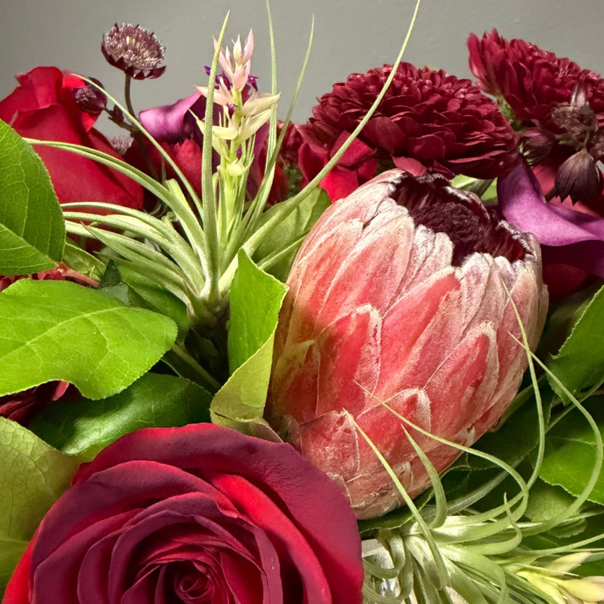 Close-up bouquet with red roses, burgundy blooms, and a pink protea