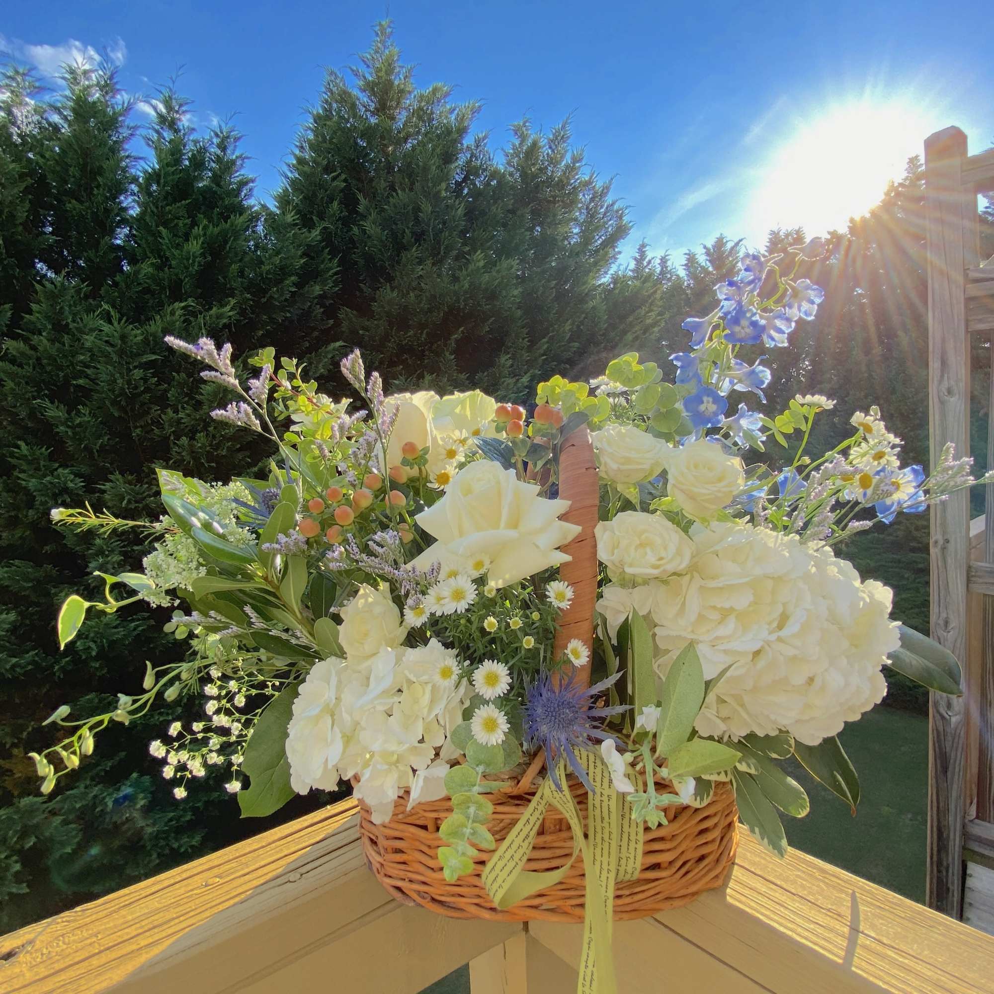 Basket arrangement of white roses, hydrangeas, daisies, and blue delphinium with a ribbon bow