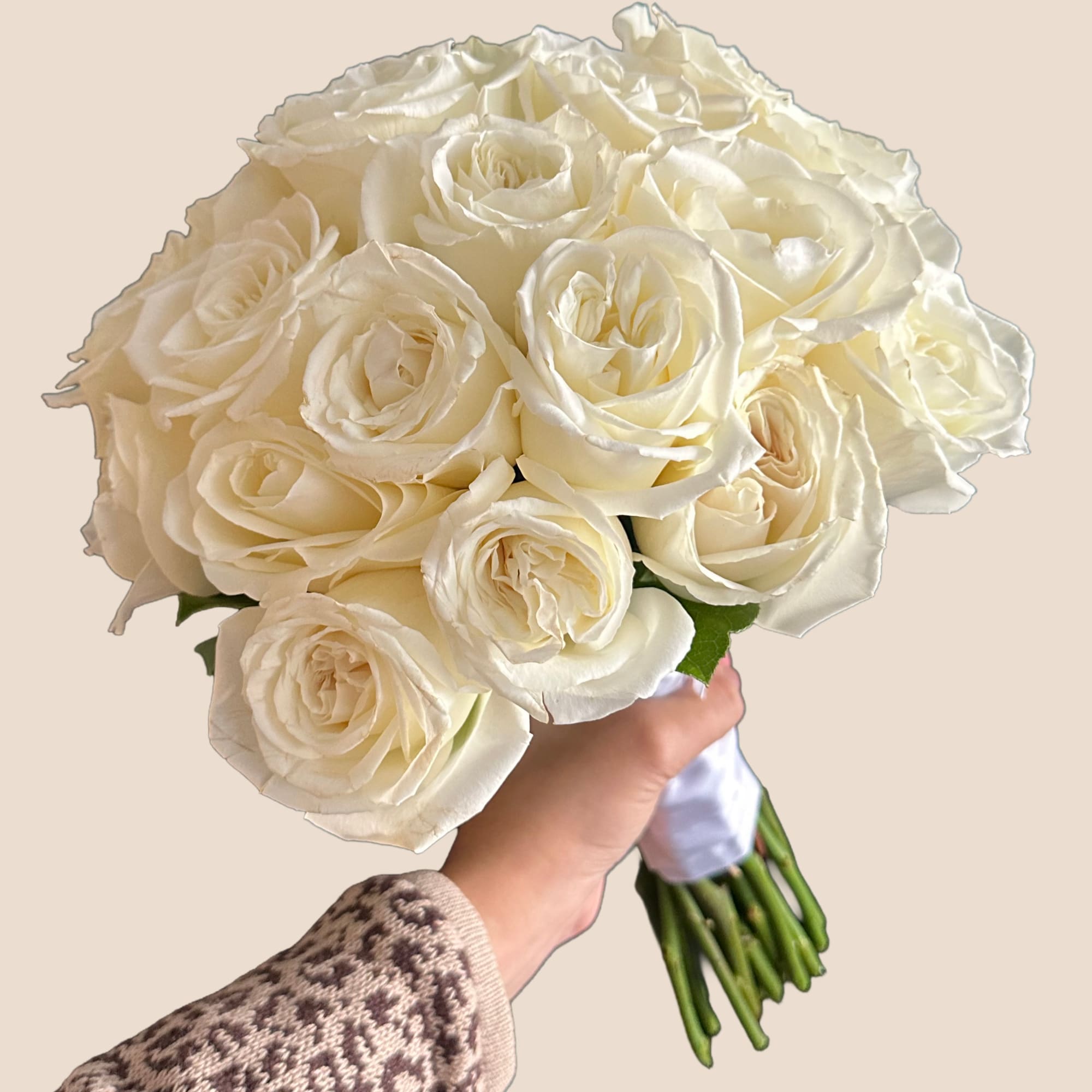 Bouquet of white roses held in hand