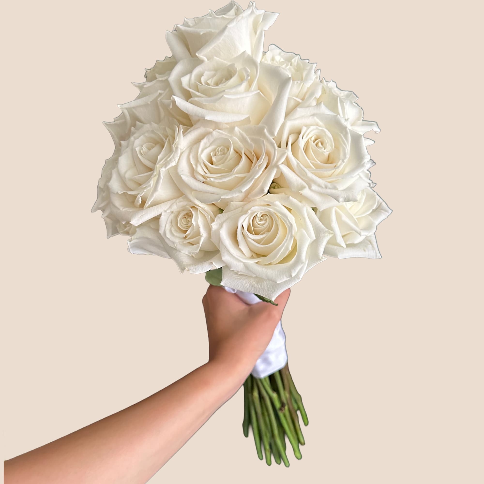 Handheld bouquet of white roses wrapped with white ribbon