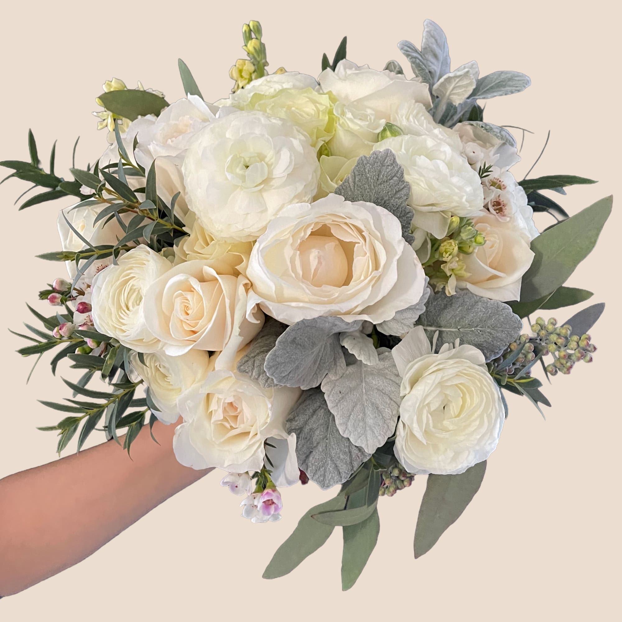 Cream and white bouquet of roses and ranunculus with gray foliage