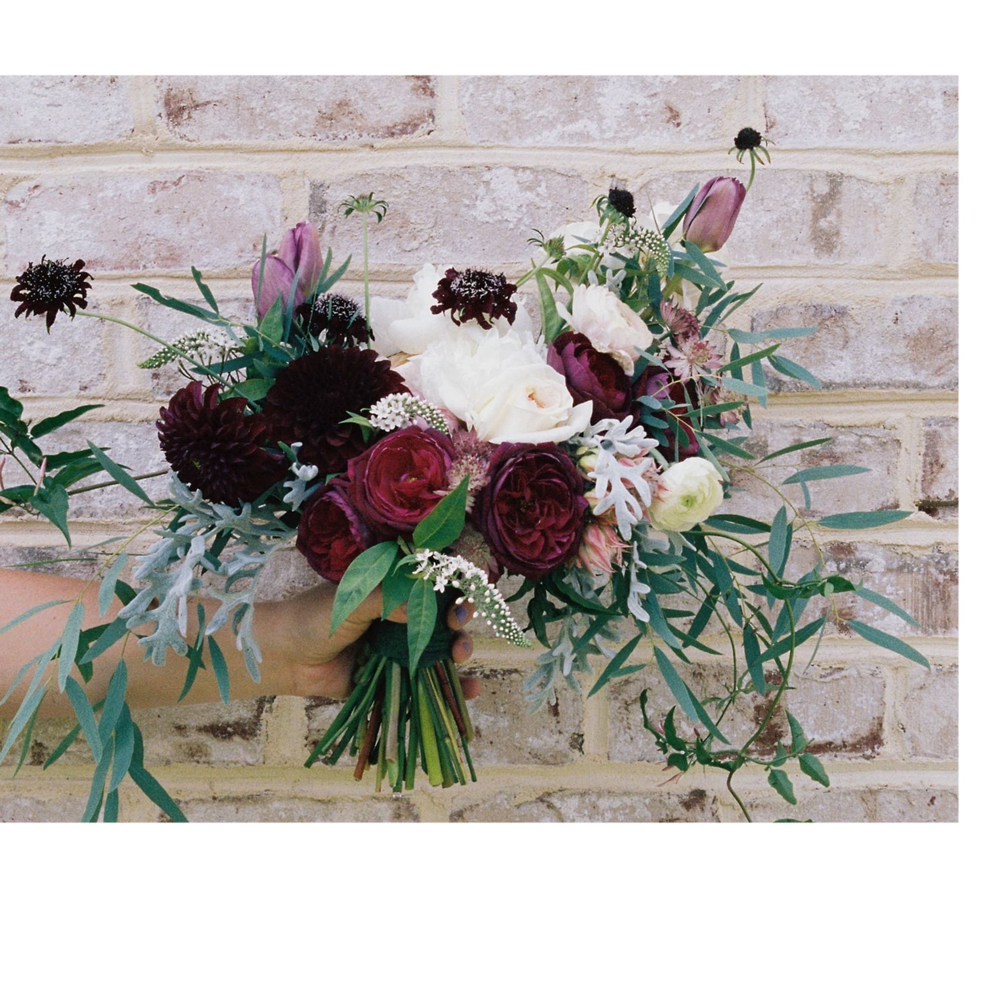 Handheld bouquet of burgundy, white, and blush flowers
