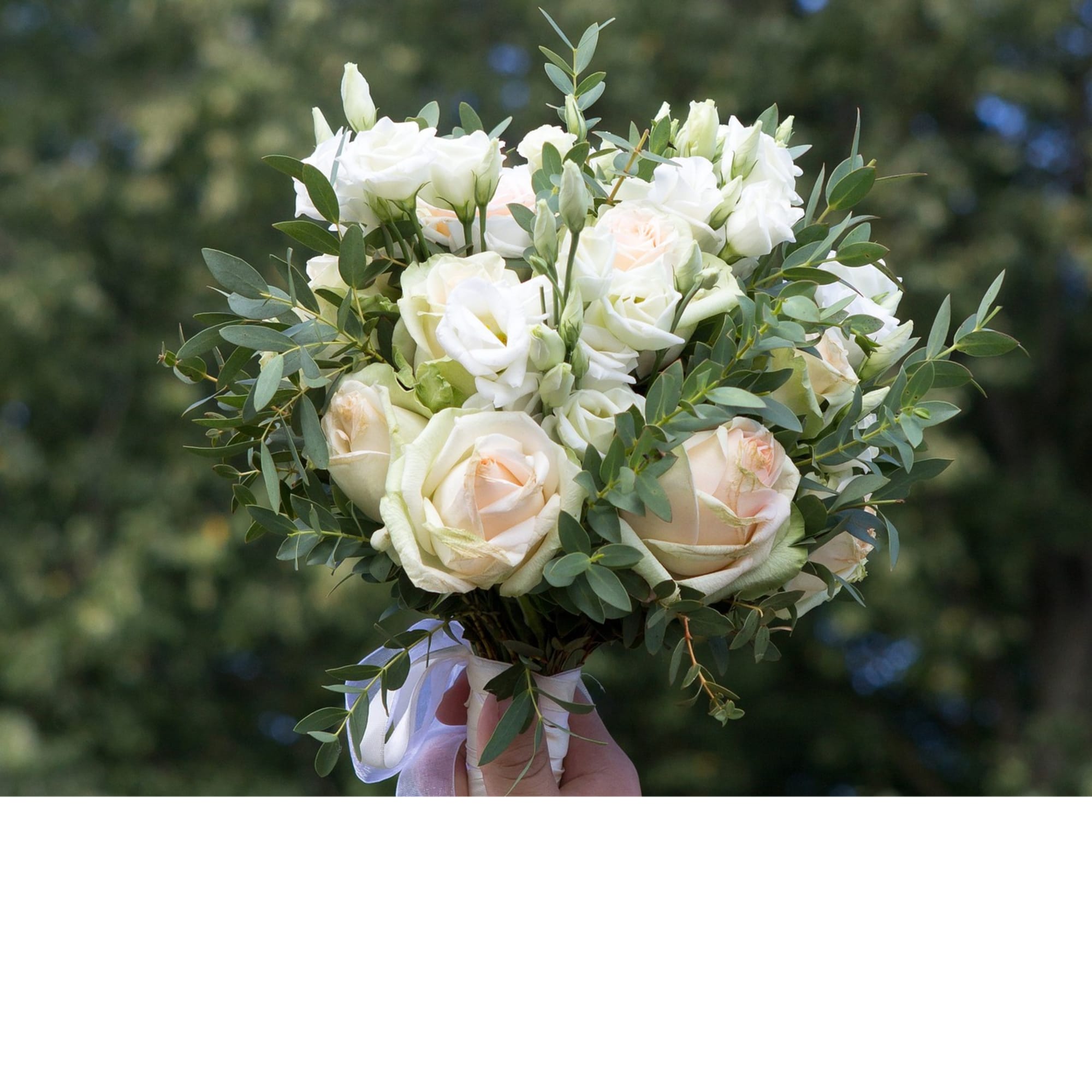 White and blush rose bouquet with eucalyptus greenery