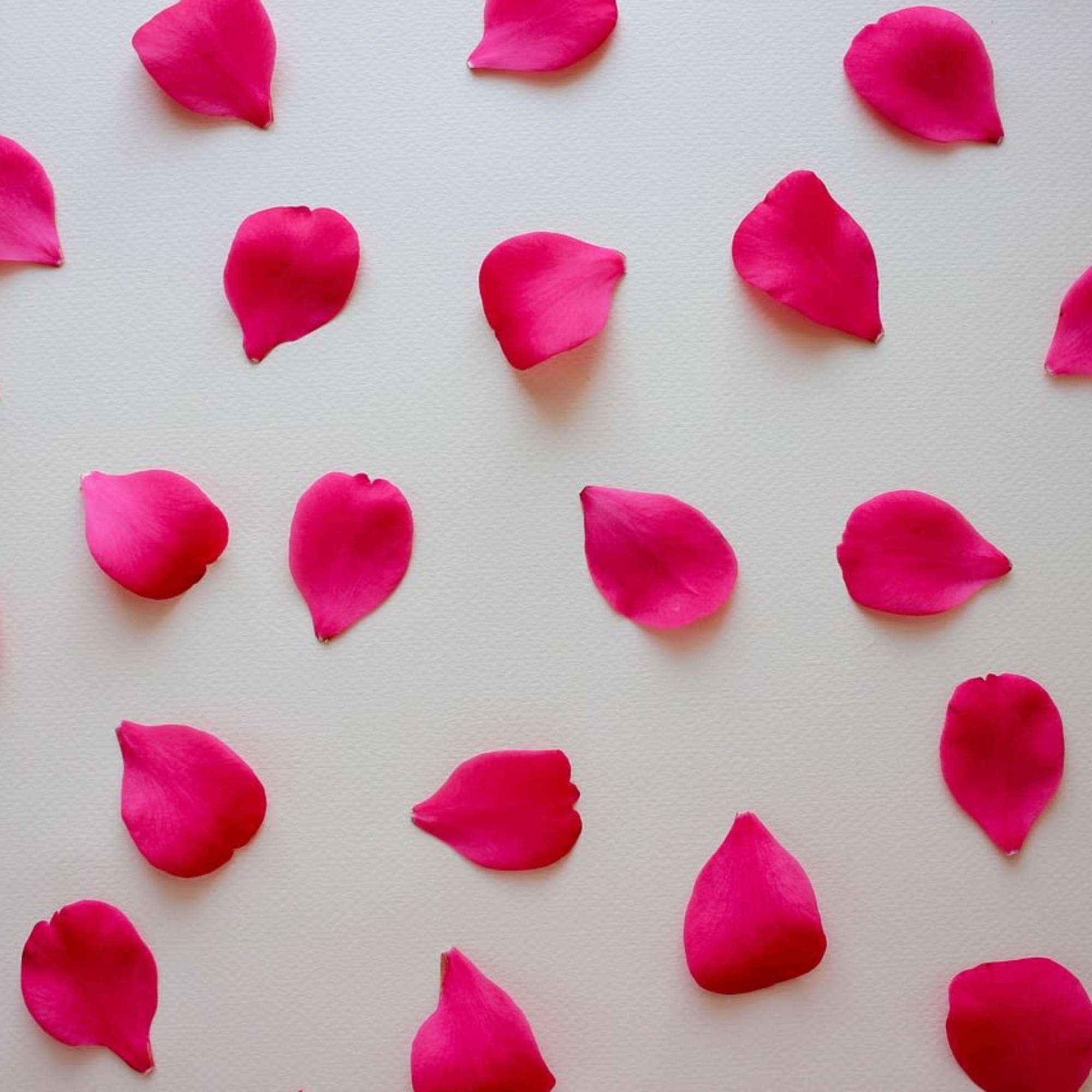 Petals &amp; Blooms Flowers offers rose petals for your special night, wedding