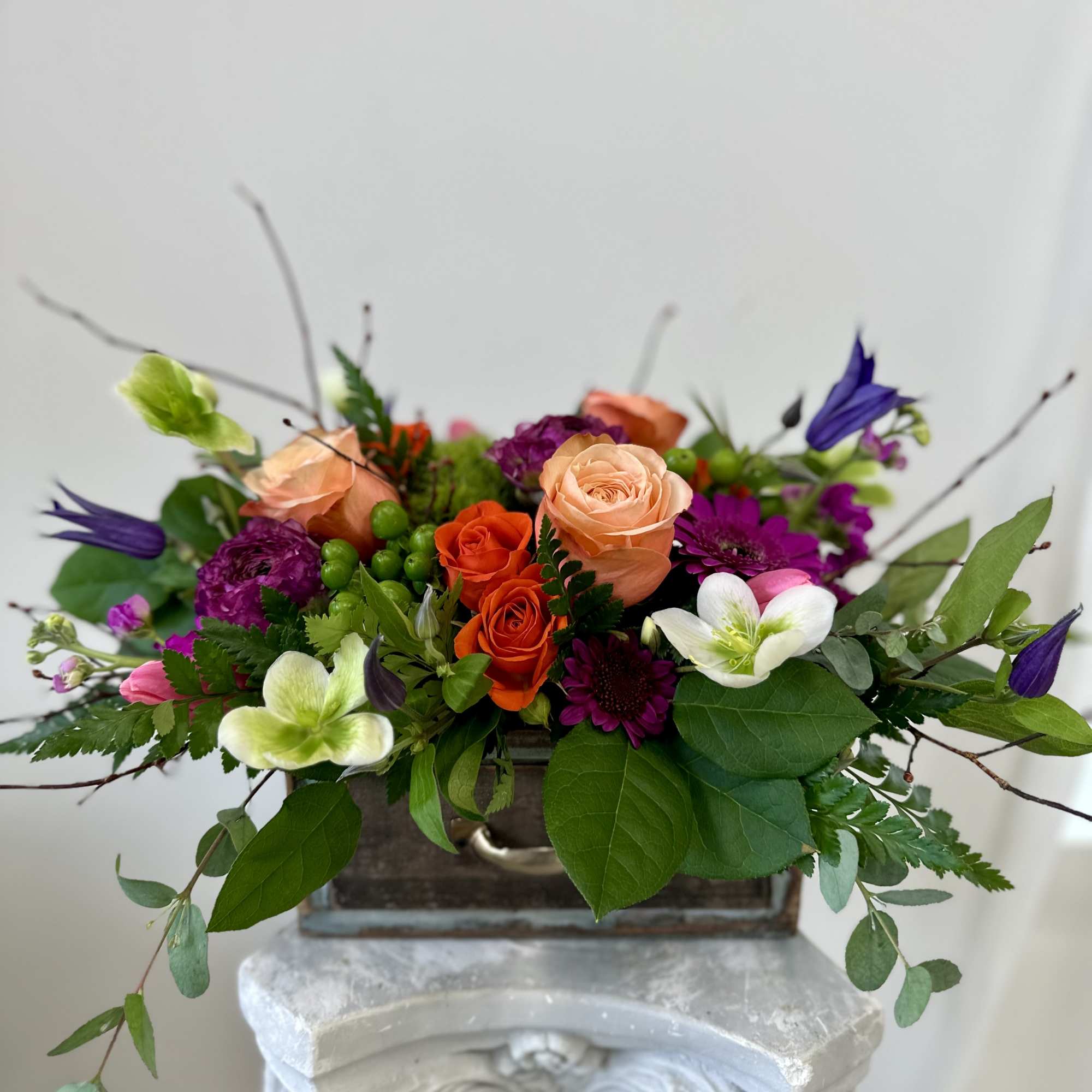 Elevate your space with the enchanting beauty of Spring Meadow Box flower