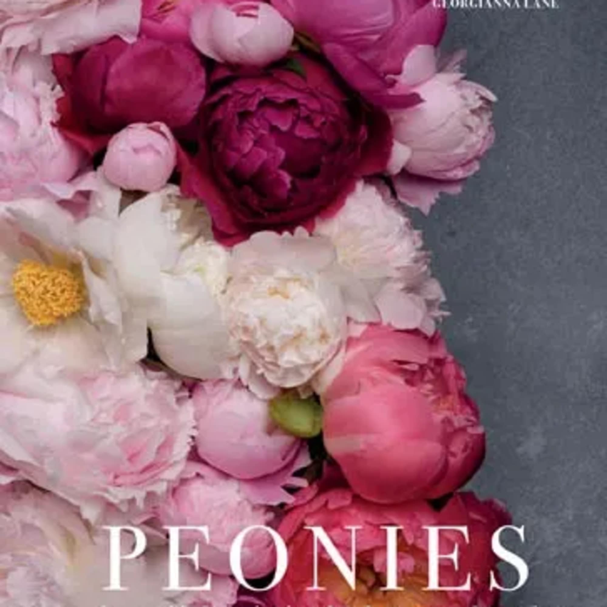 Peonies: Beautiful Varieties For Home &amp; Garden