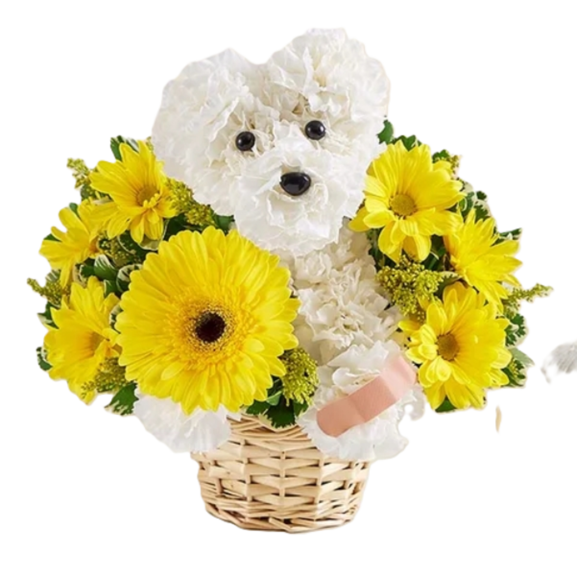 Get Well Puppy (Style by 1-800)by Gladrich Florist Shoppe