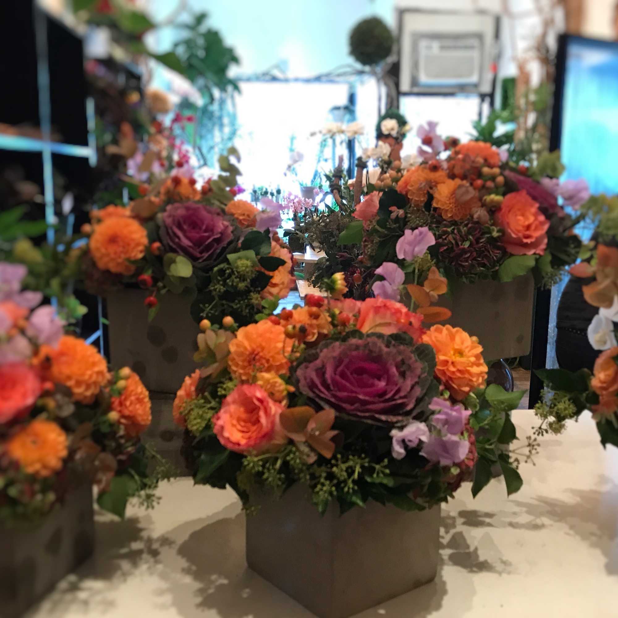 Bring the autumn flowers to home, photo 2 of 2