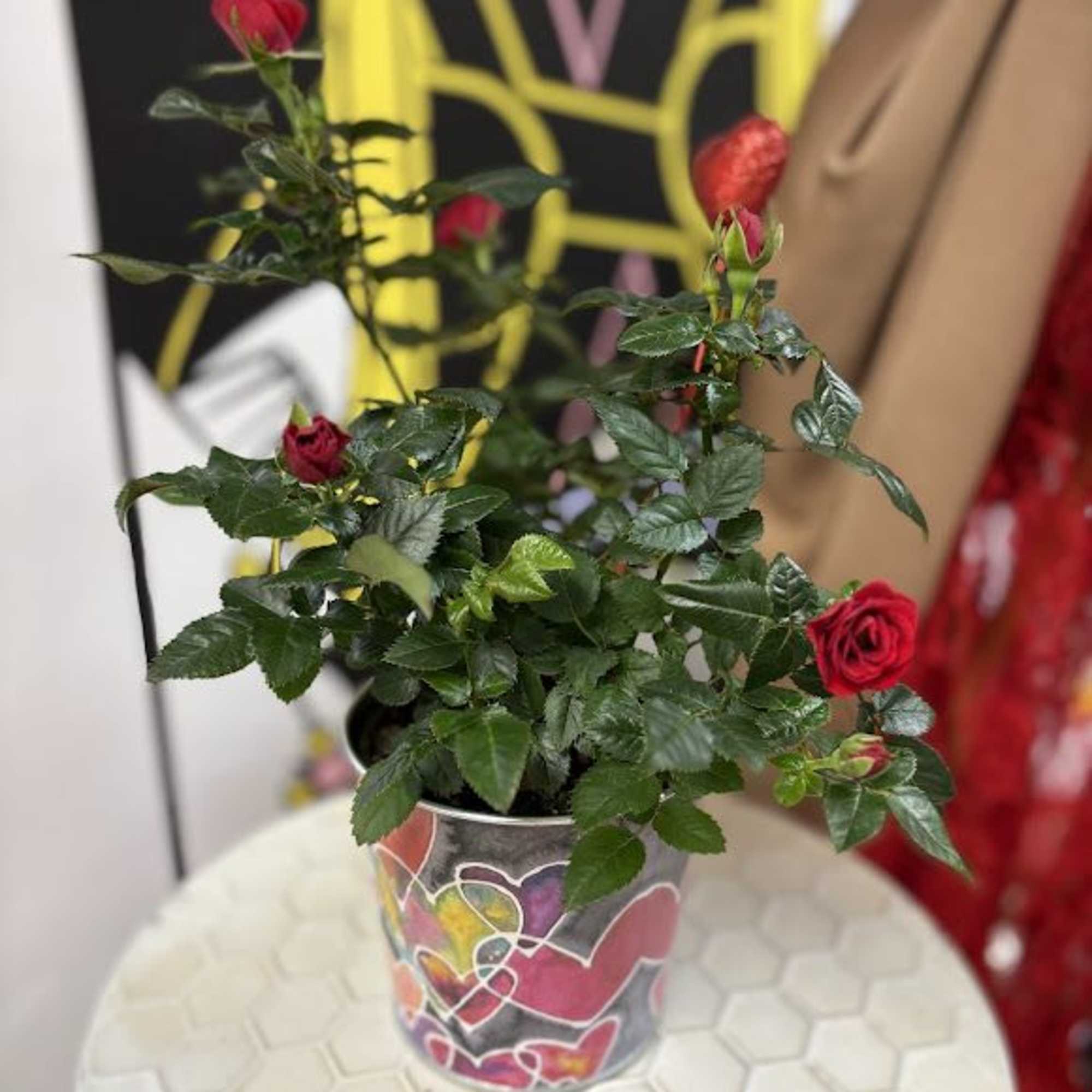 Small potted rose plant with red blooms in a decorated metal container