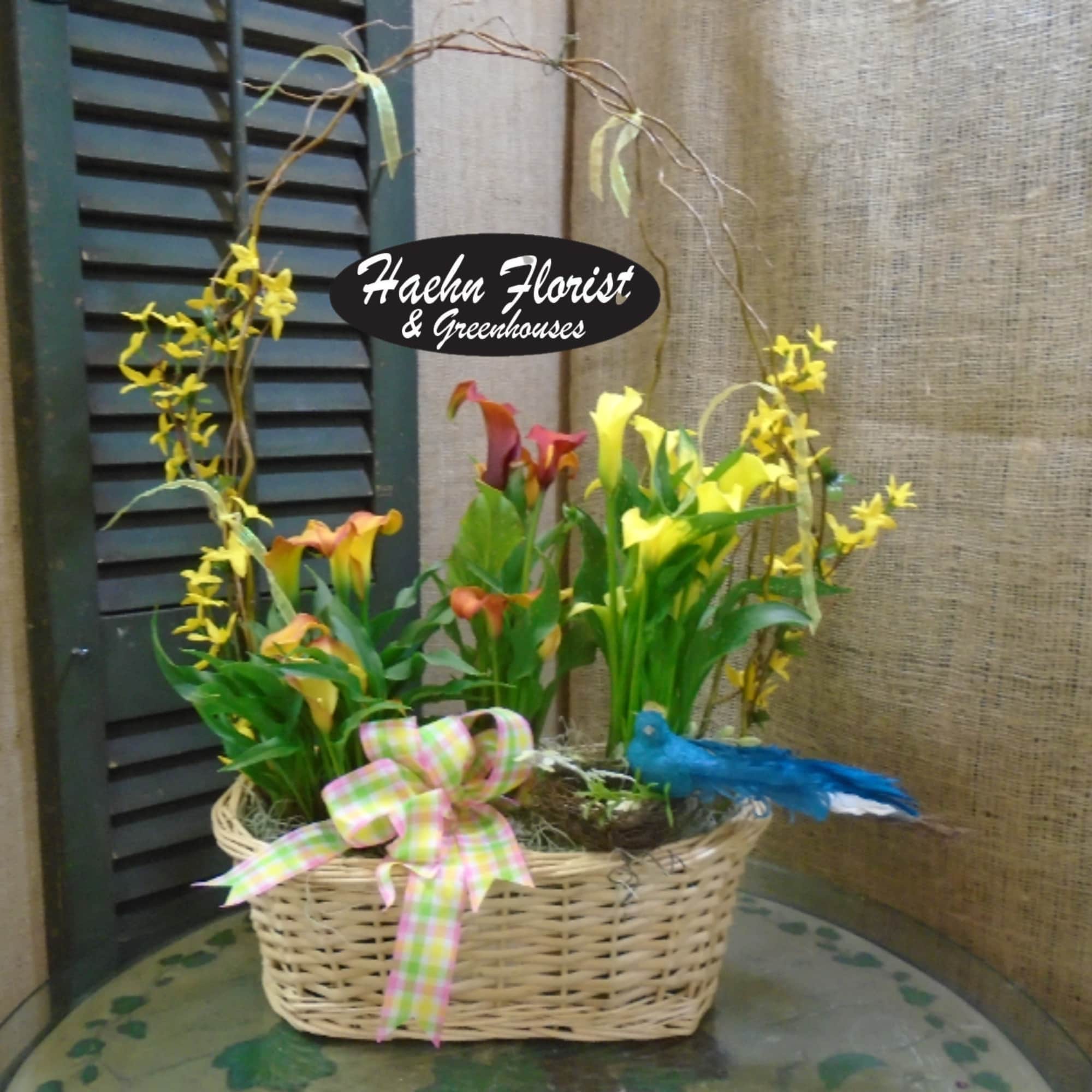 Basket arrangement with yellow and orange calla lilies and a blue bird decoration