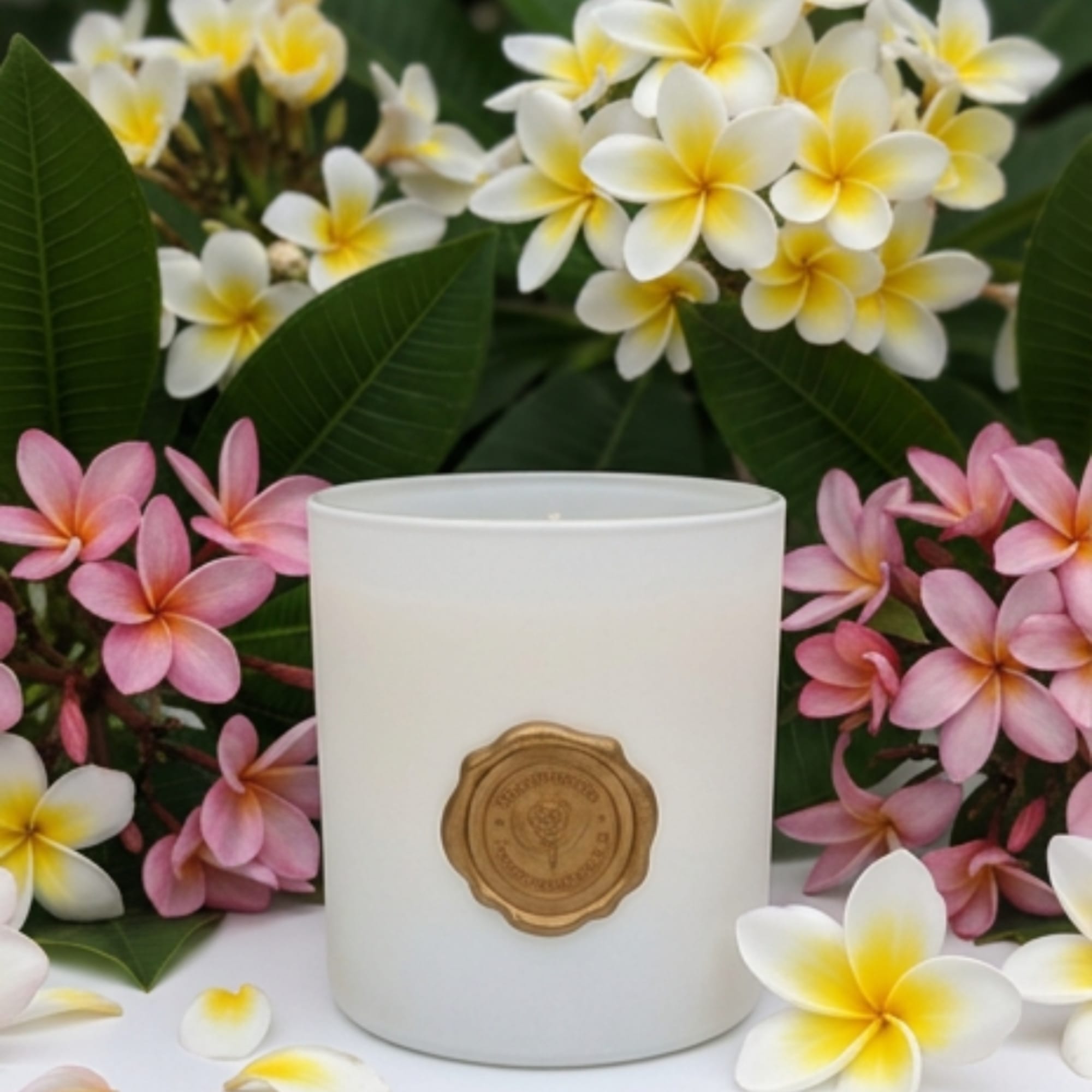 White candle in a frosted glass jar surrounded by pink and white plumeria flowers