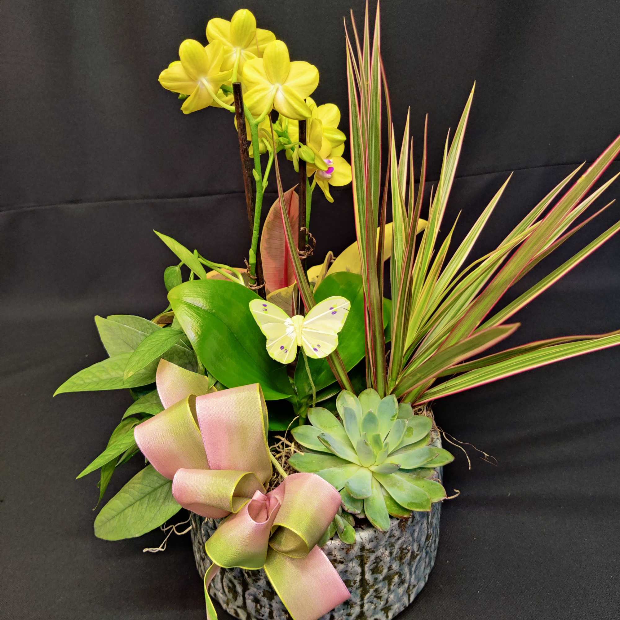 Succulent and orchid arrangement in a stone planter with a pink ribbon