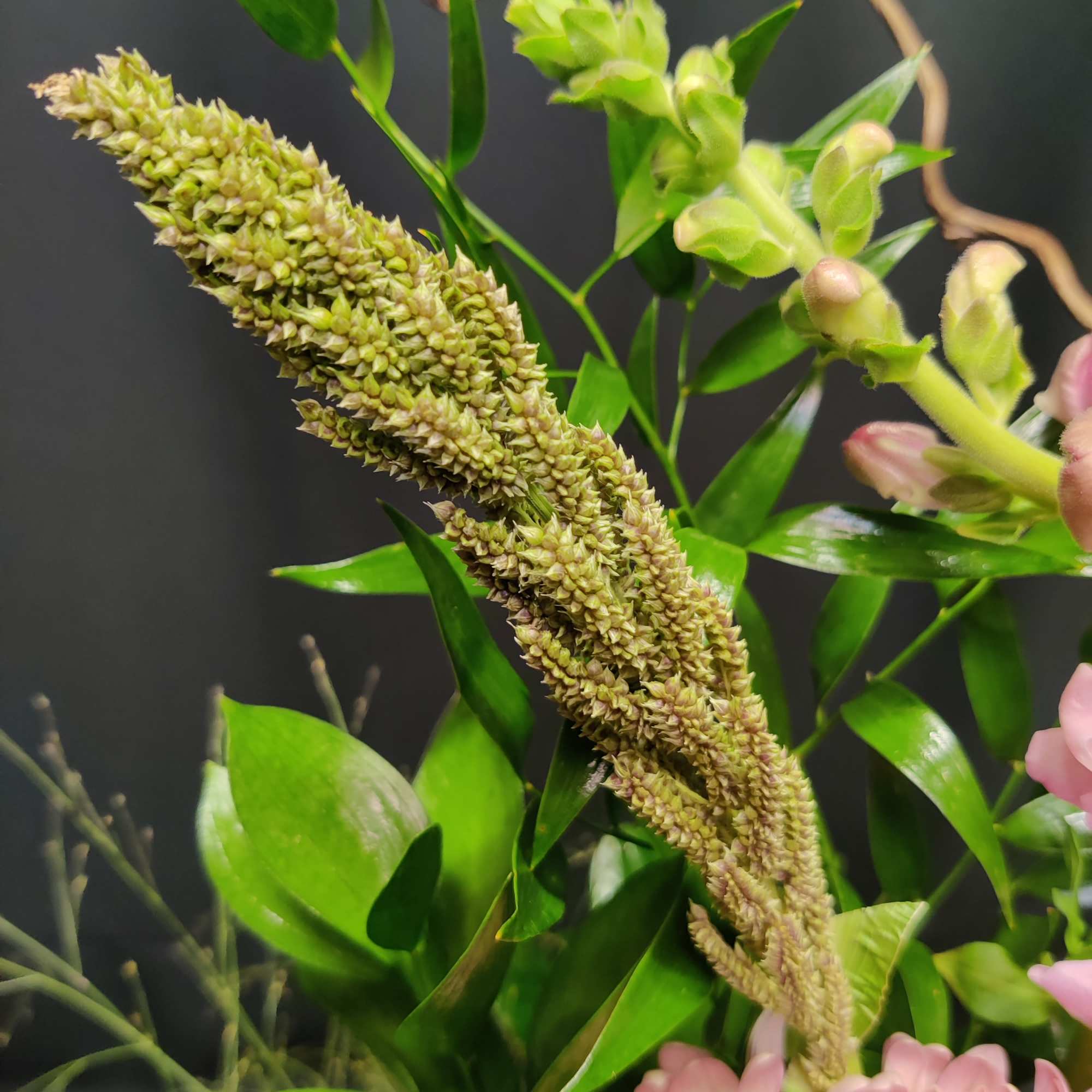 Gorgeous premium Royal lilies, branches and clover will lift your spirits. , photo 5 of 6