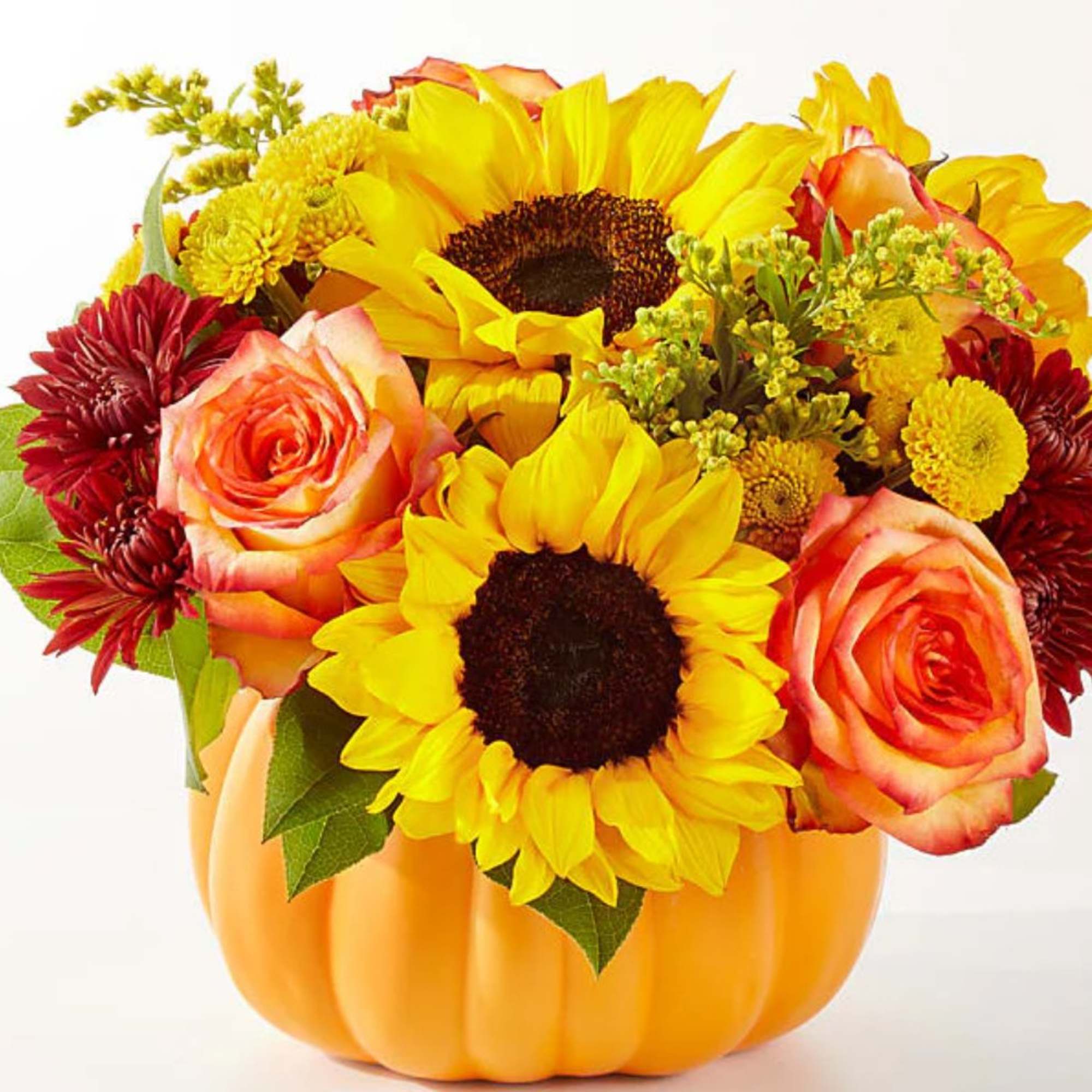 No need to go to the pumpkin patch this year with this