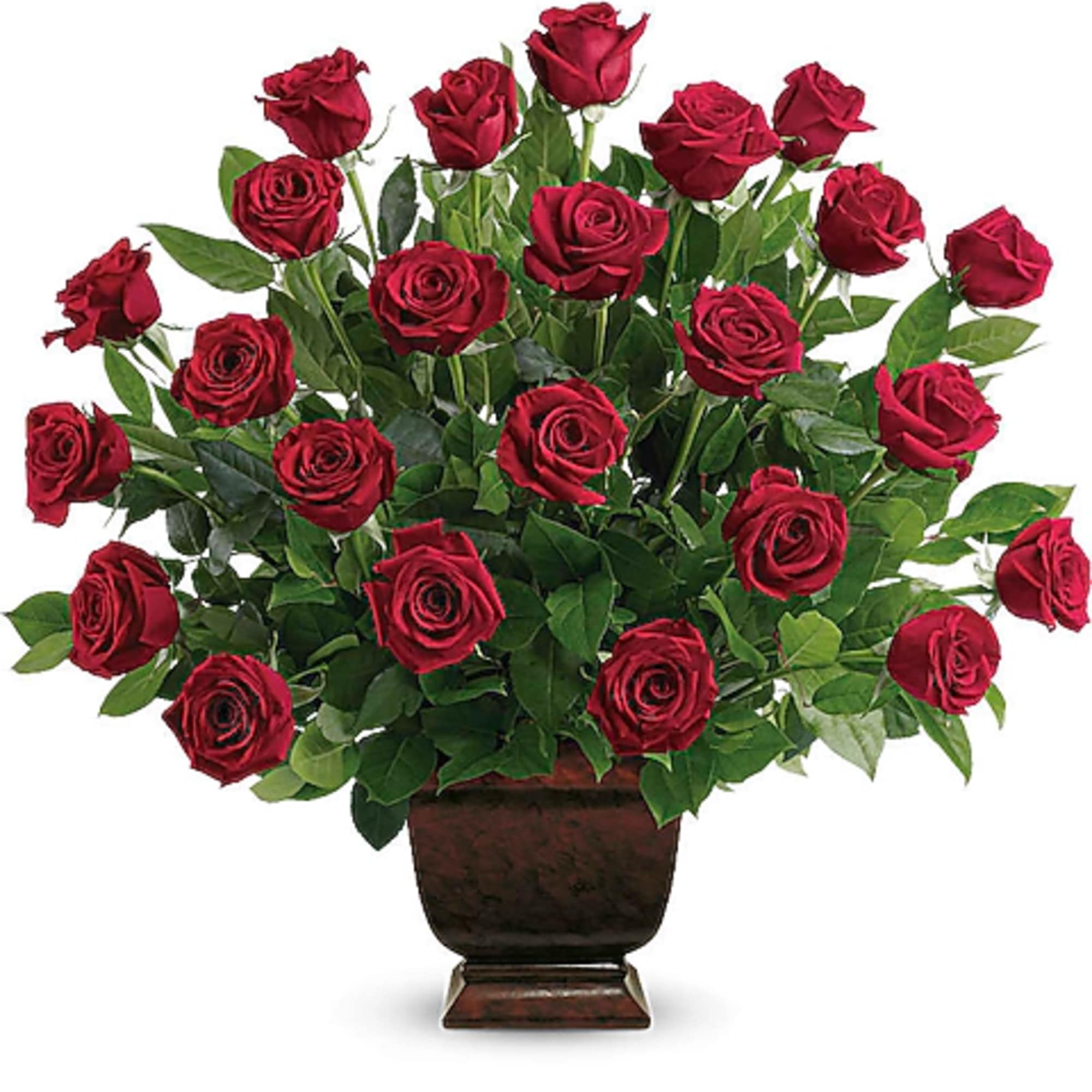 Red roses arranged in a dark urn vase