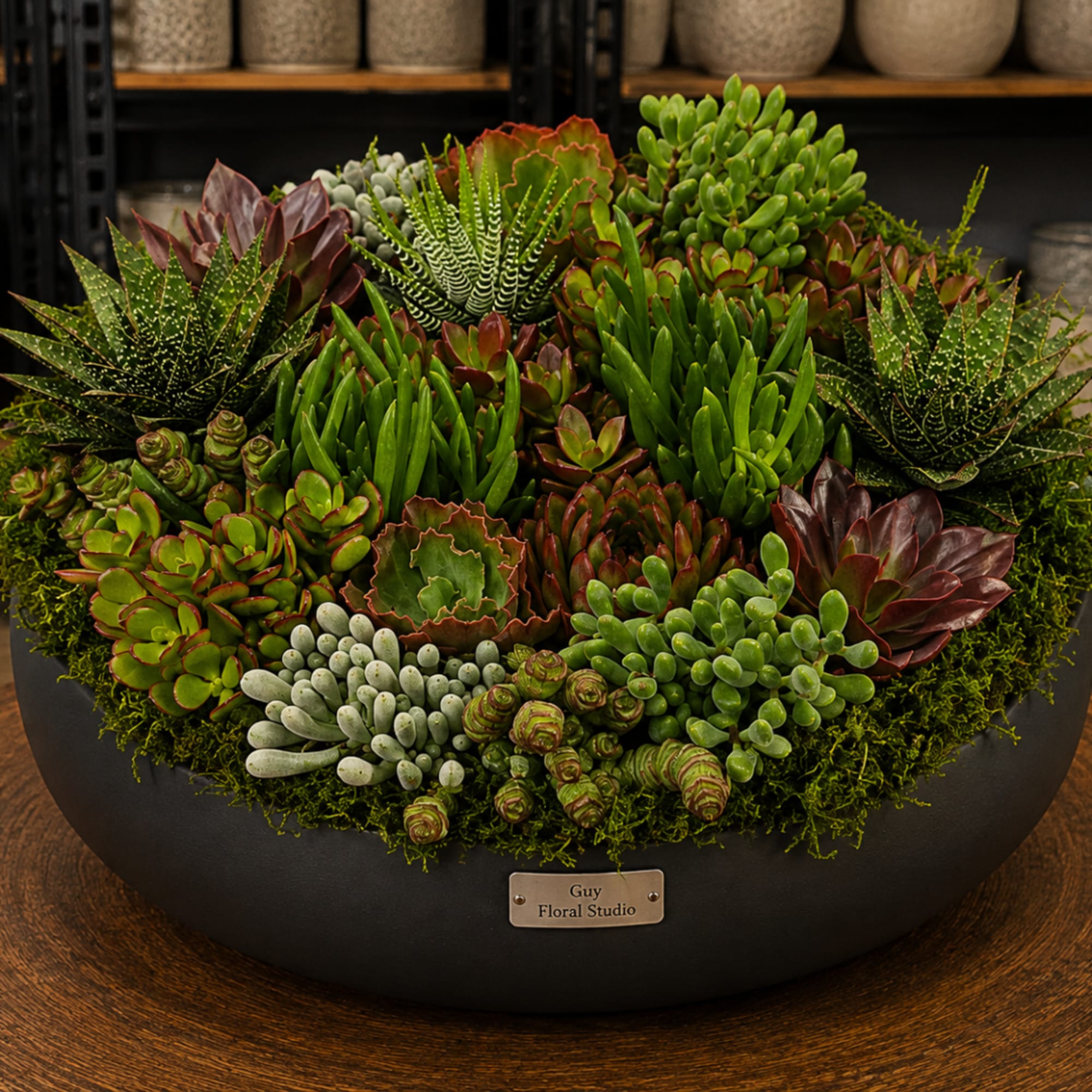 Mixed succulent arrangement in a black bowl planter