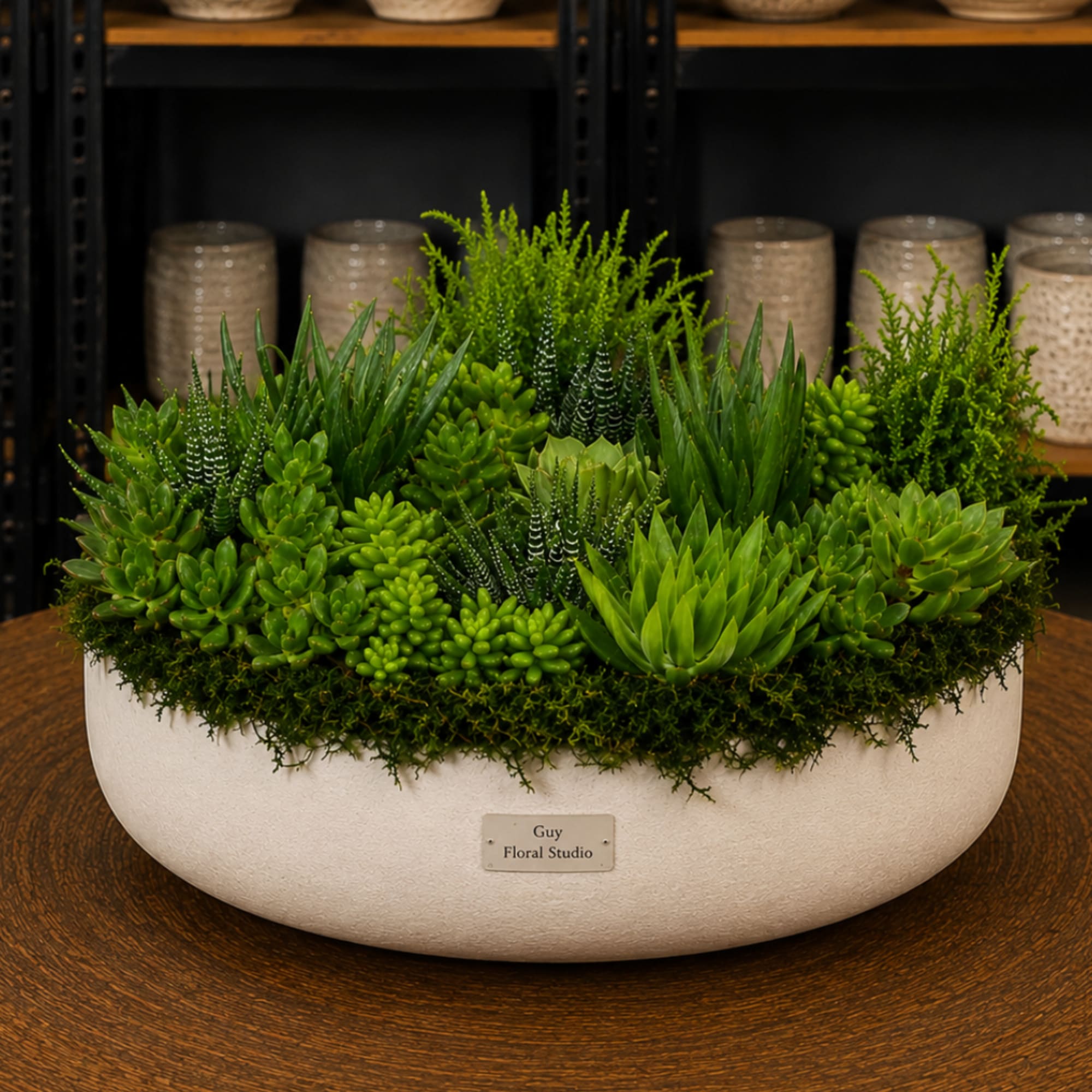Succulent arrangement in a white oval planter