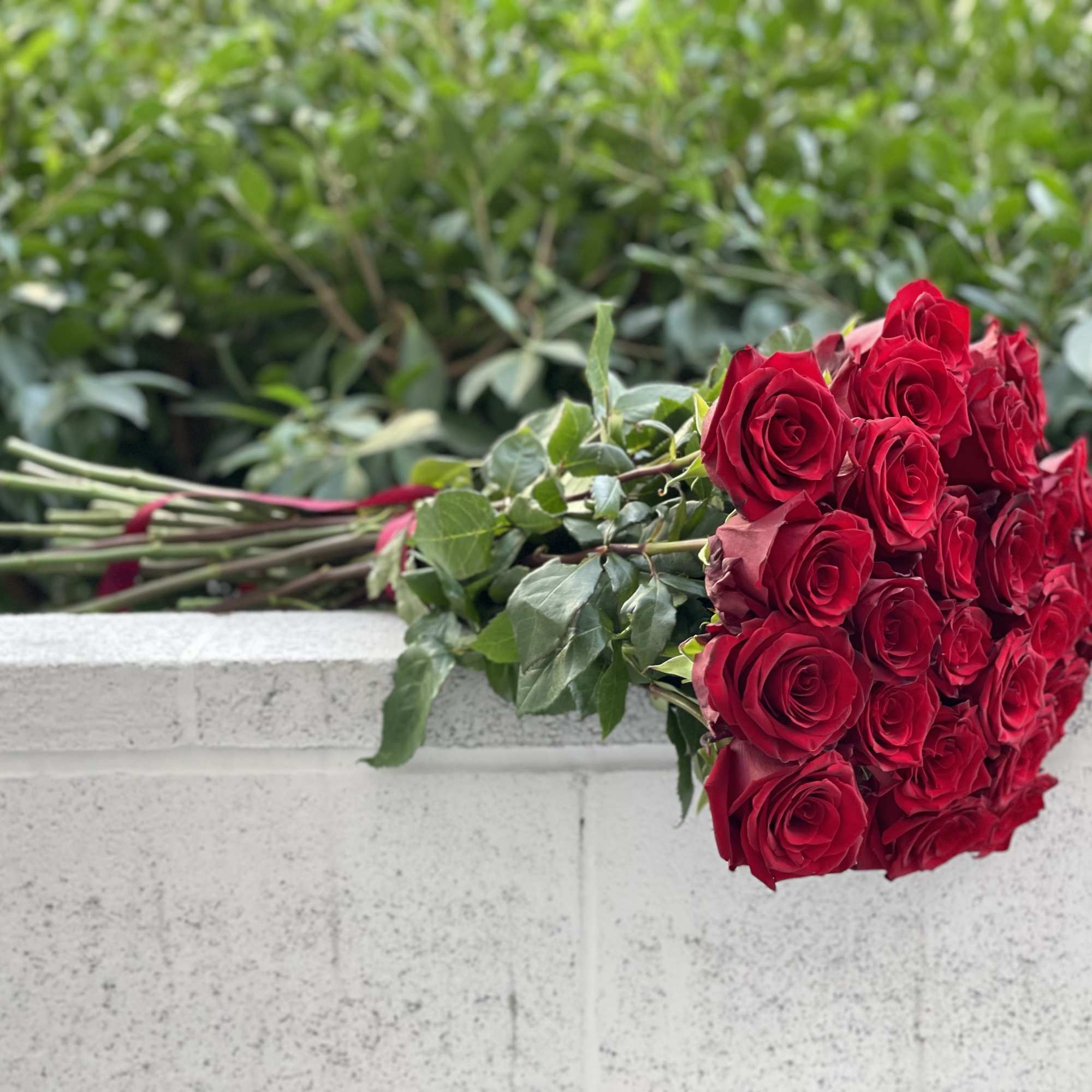 Bouquet of red roses with greenery laid on a wall