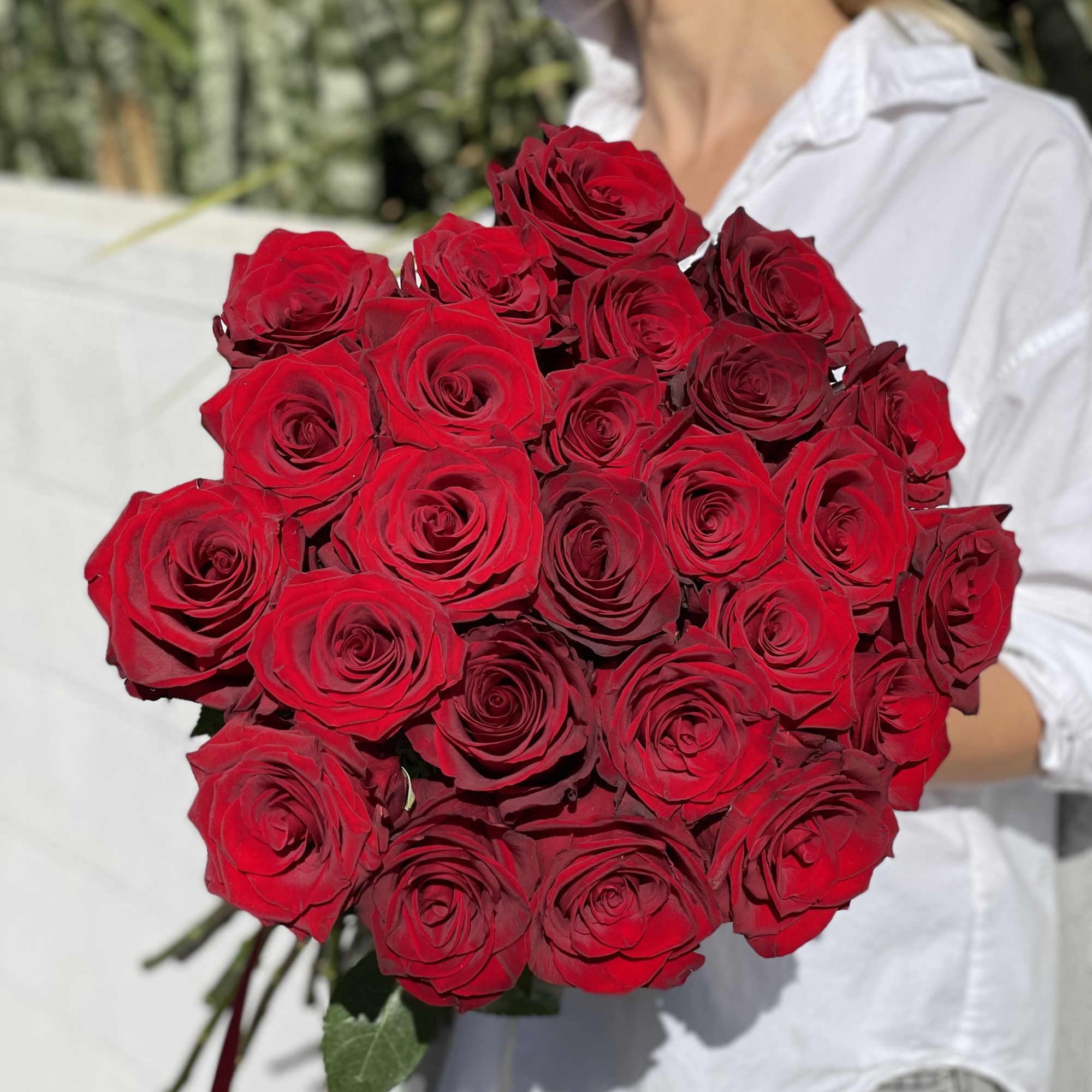 Large bouquet of red roses held by a woman in a white shirt