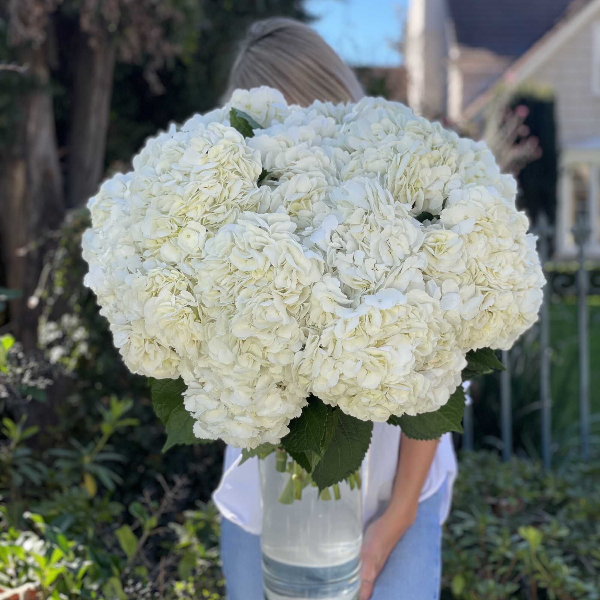 Large white hydrangea bouquet in a clear glass vase, photo 3 of 7