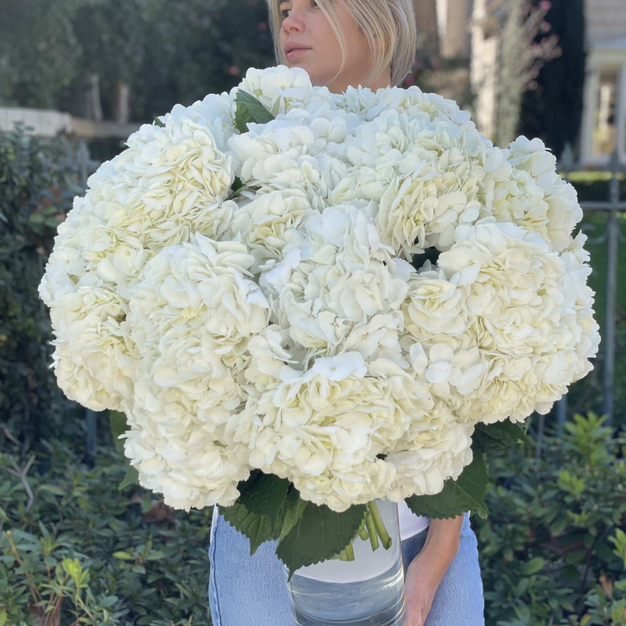 Woman holding a large bouquet of white hydrangeas in a glass vase