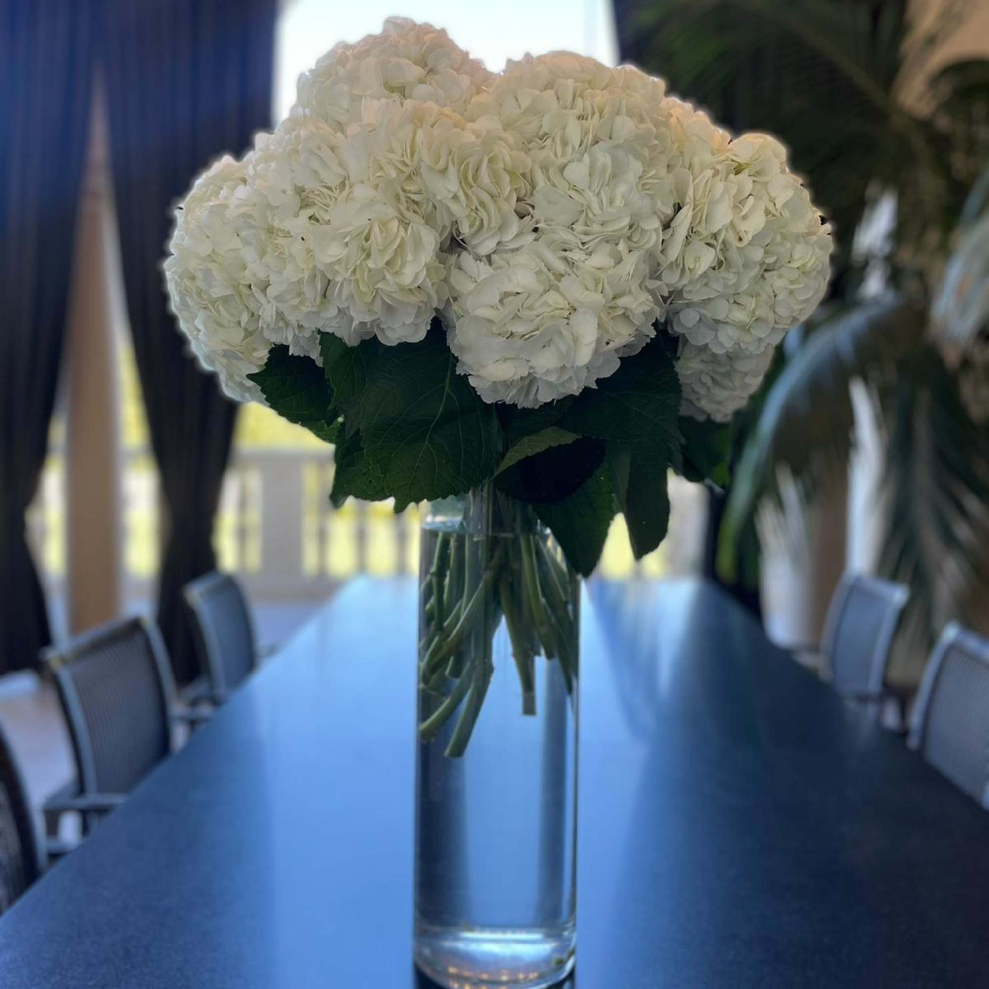 White hydrangea arrangement in a tall clear glass vase
