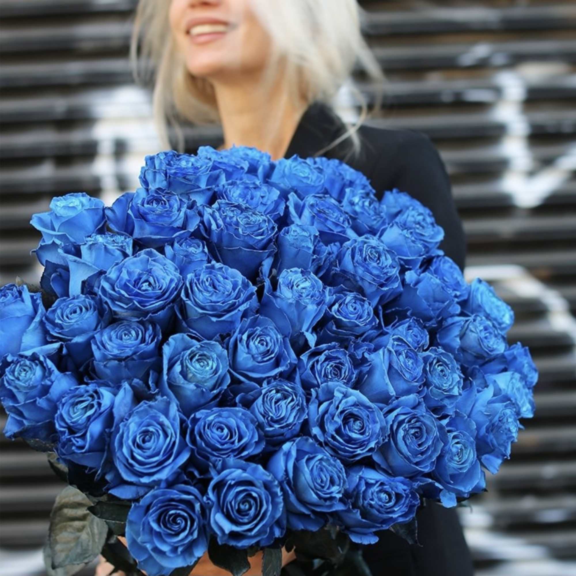 Large bouquet of vivid blue roses held by a person
