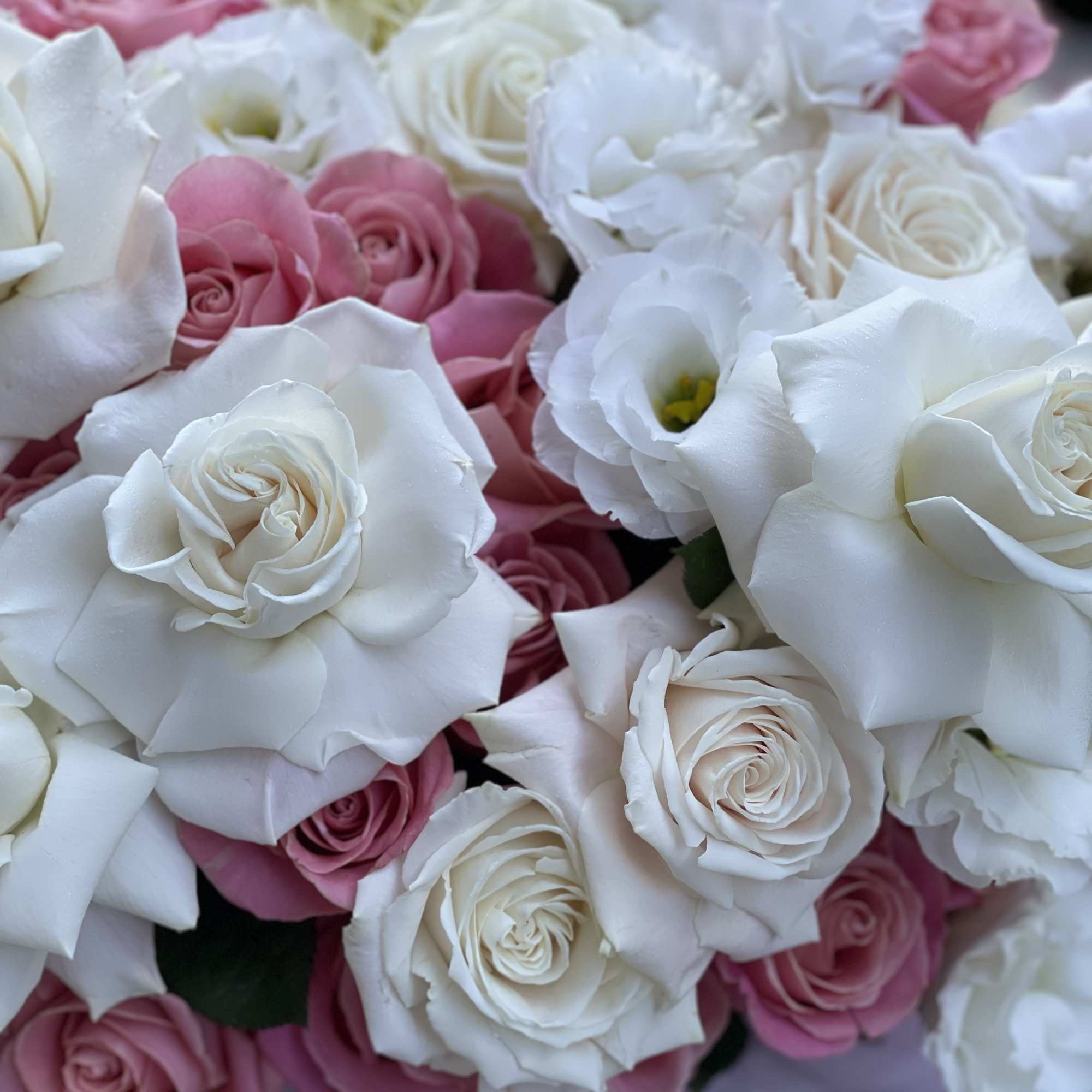 Bouquet of white and pink roses with white lisianthus