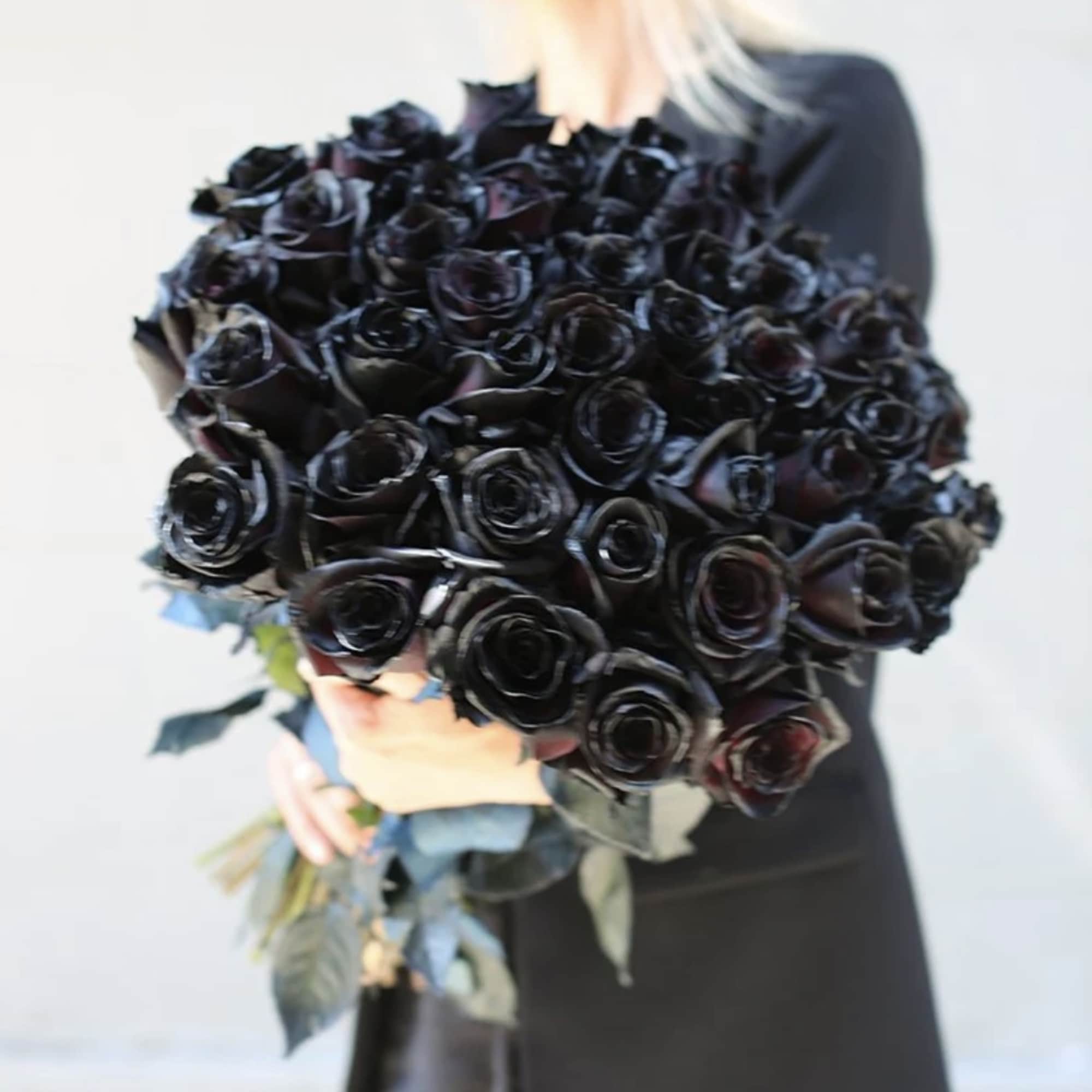 Large bouquet of black roses held by a person
