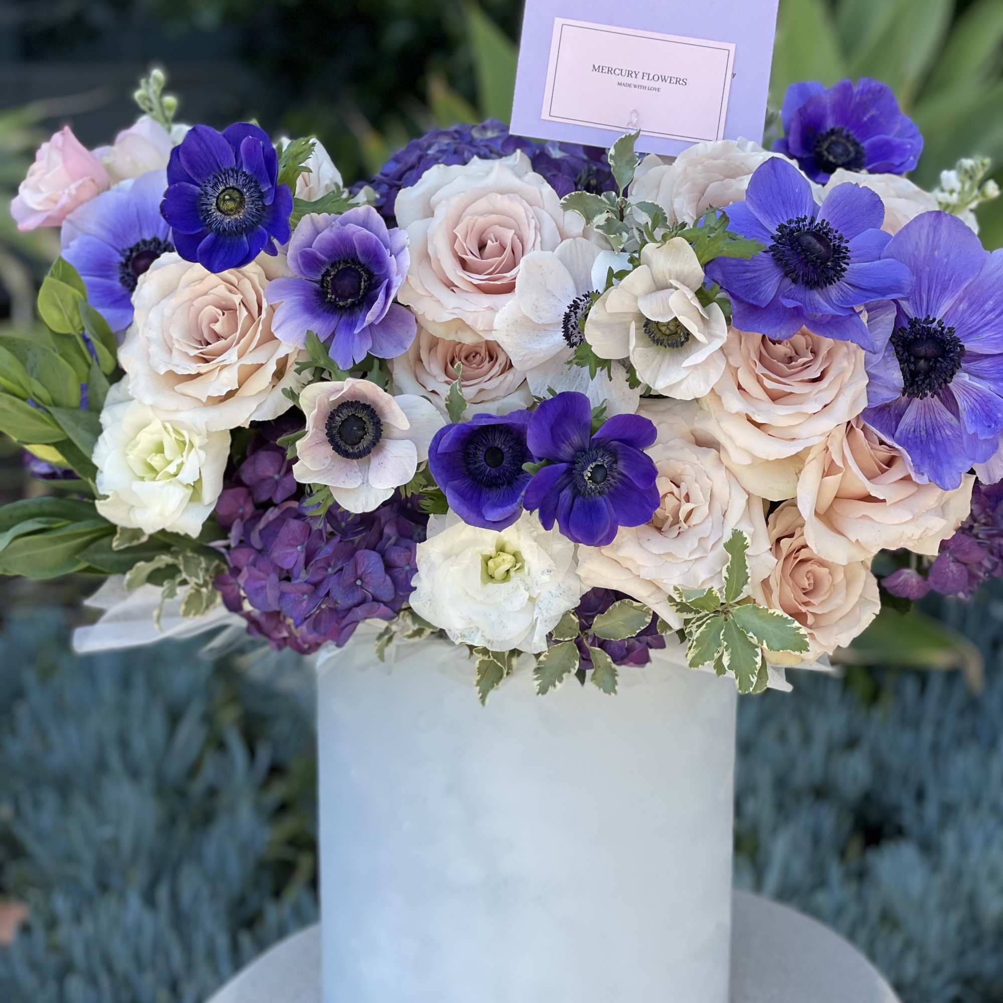 Bouquet of pale roses and purple anemones in a white hatbox