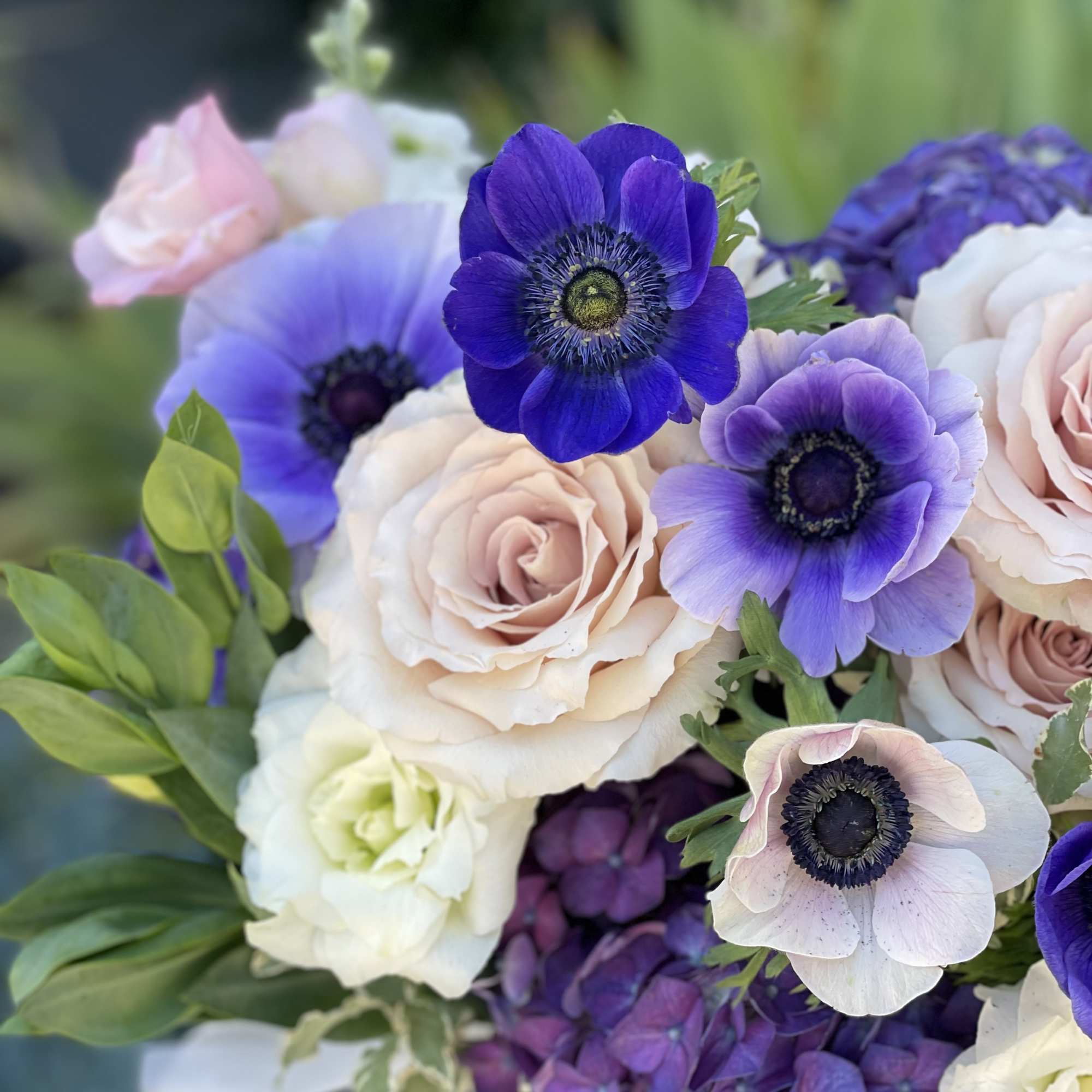 Bouquet of pale roses, purple anemones, and blue hydrangea