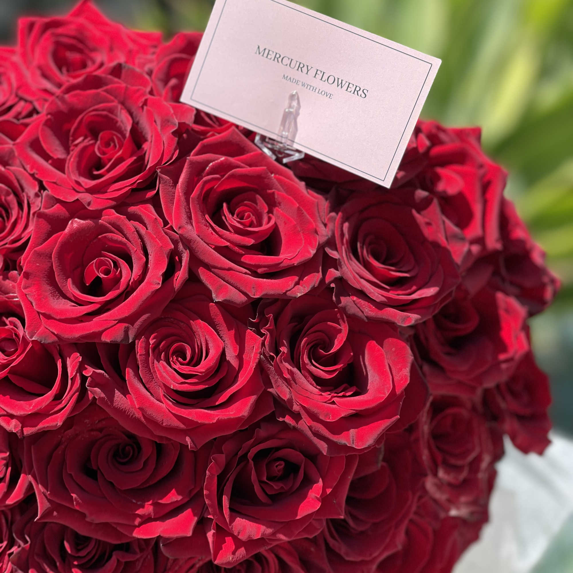 Bouquet of red roses with a small brand card