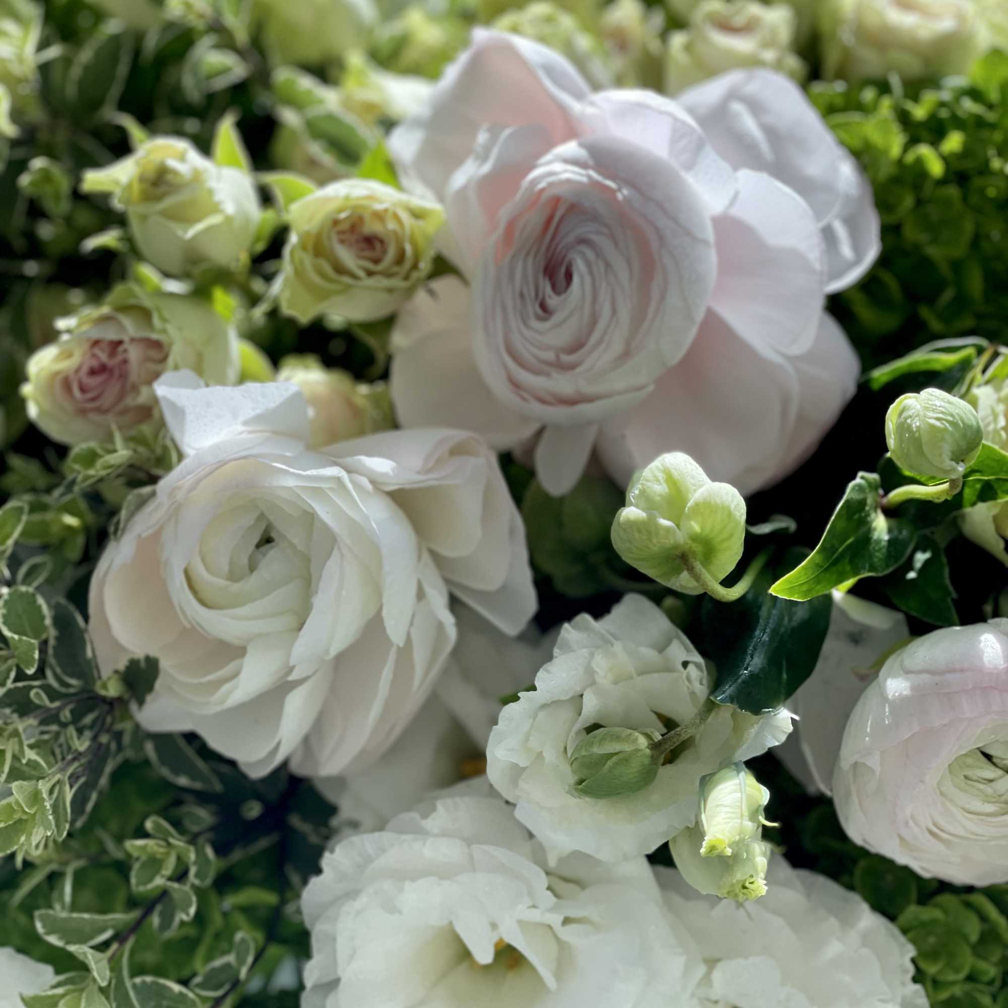 White ranunculus and pale green roses in a dense bouquet