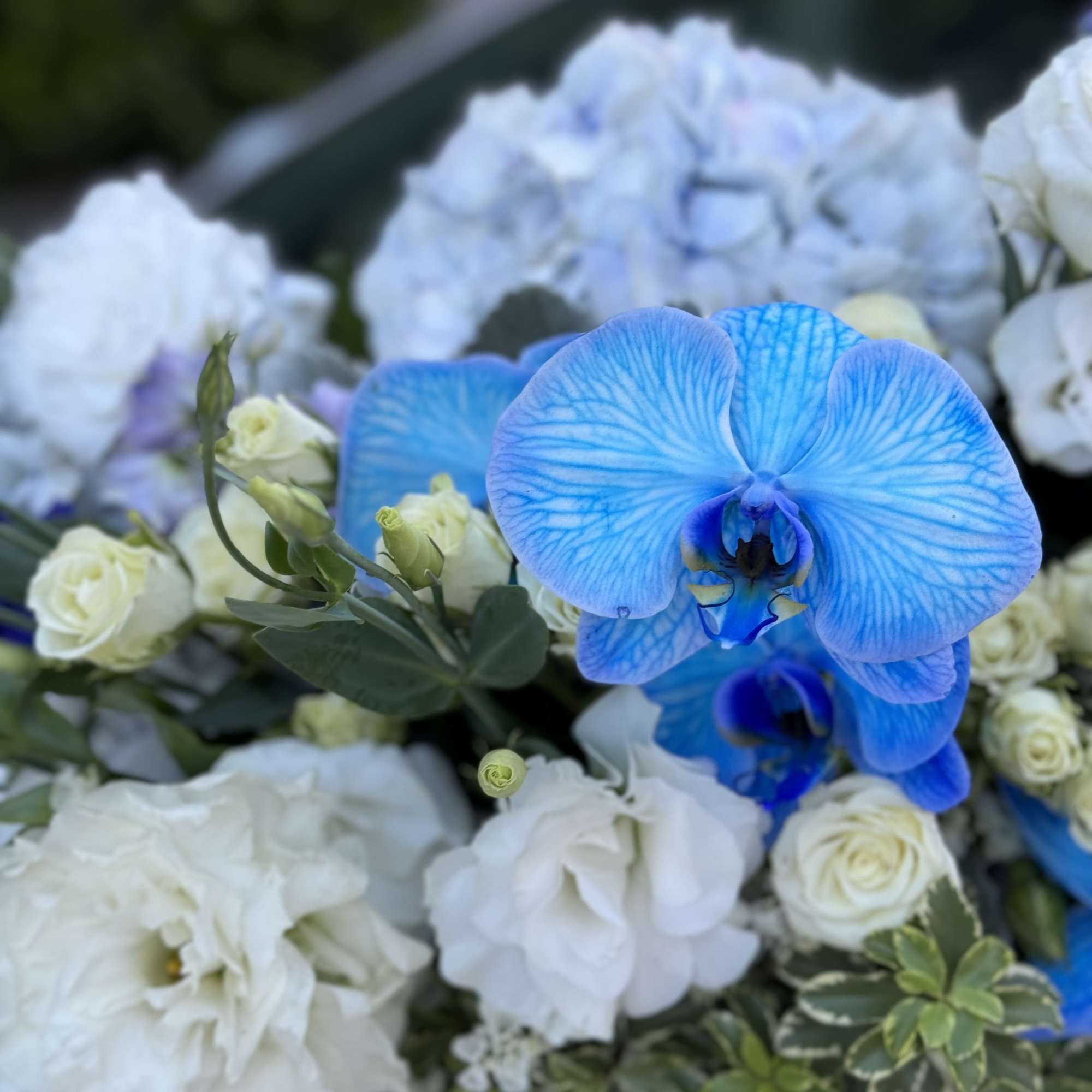 Blue orchids with white roses in a bouquet