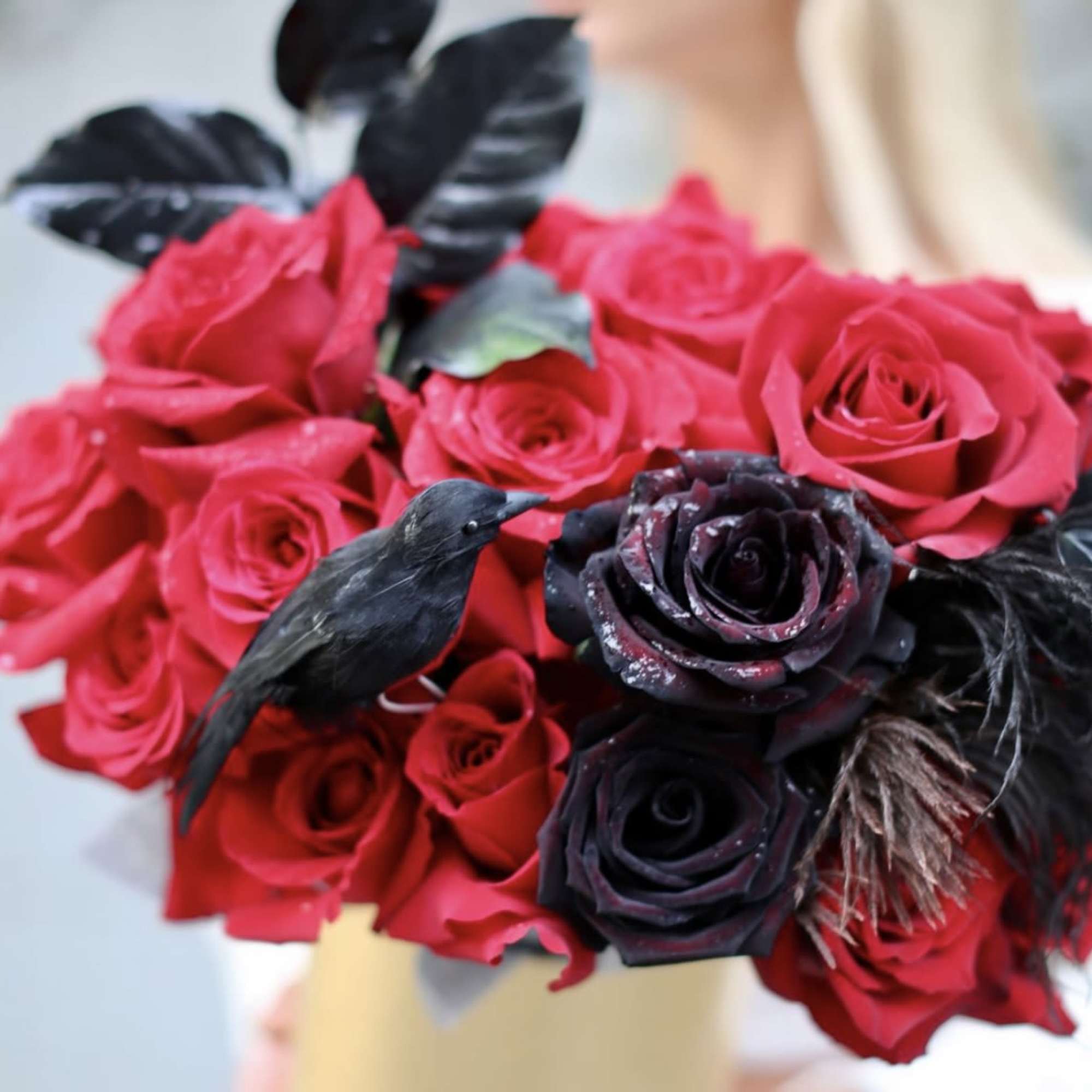 Bouquet of red and black roses with dark decorative accents