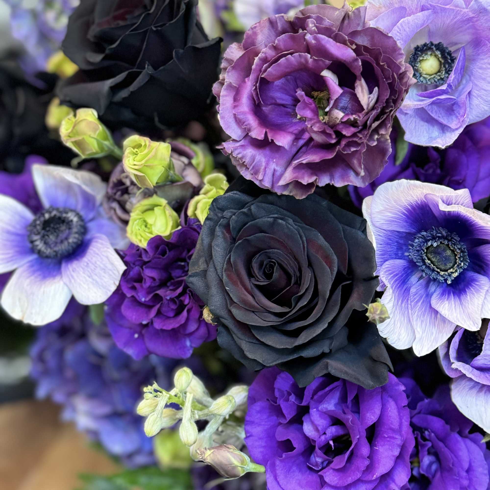 Bouquet of black, purple, and lavender flowers with anemones and roses