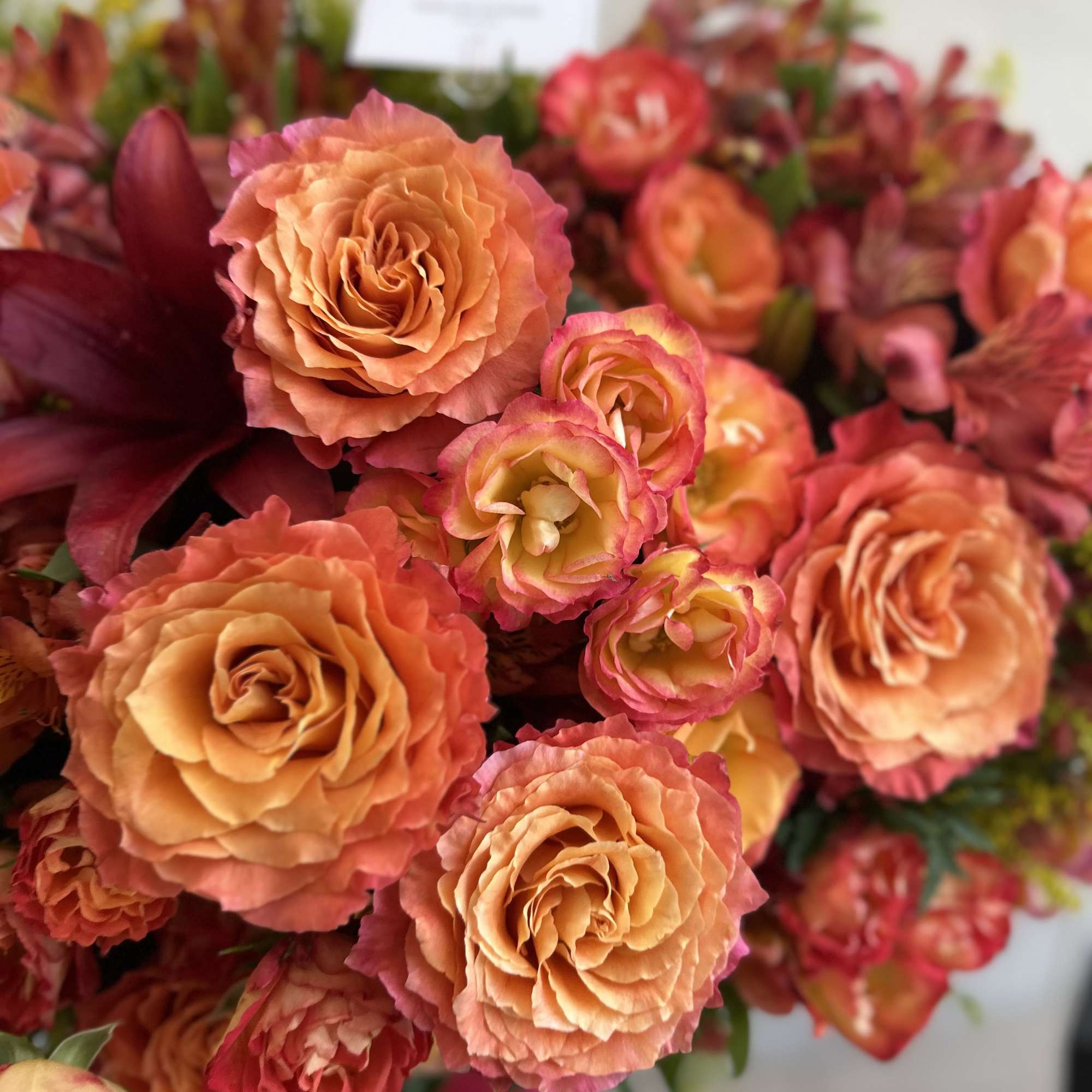 Bouquet of peach and pink roses with burgundy flowers