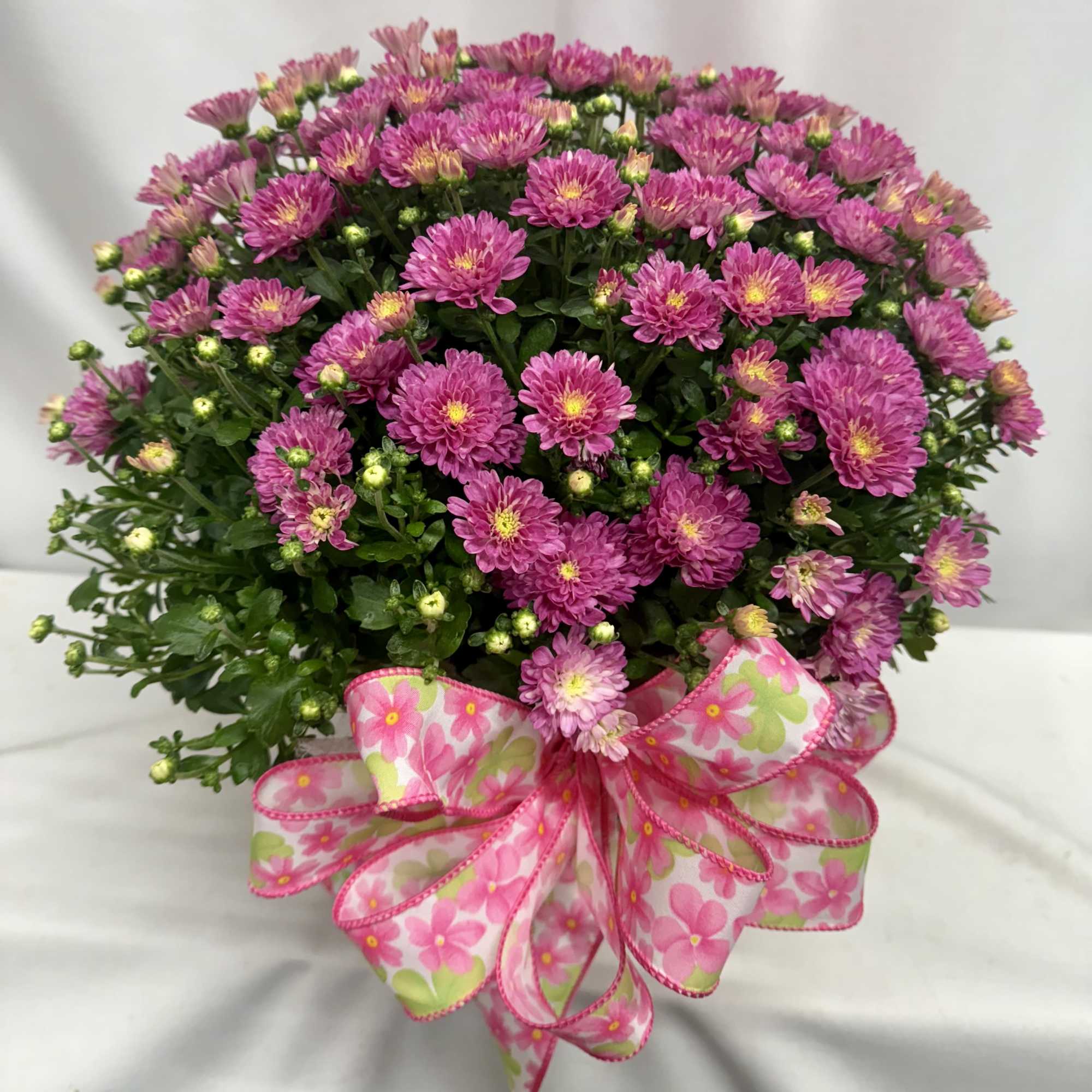 Pink chrysanthemum bouquet with a floral ribbon bow