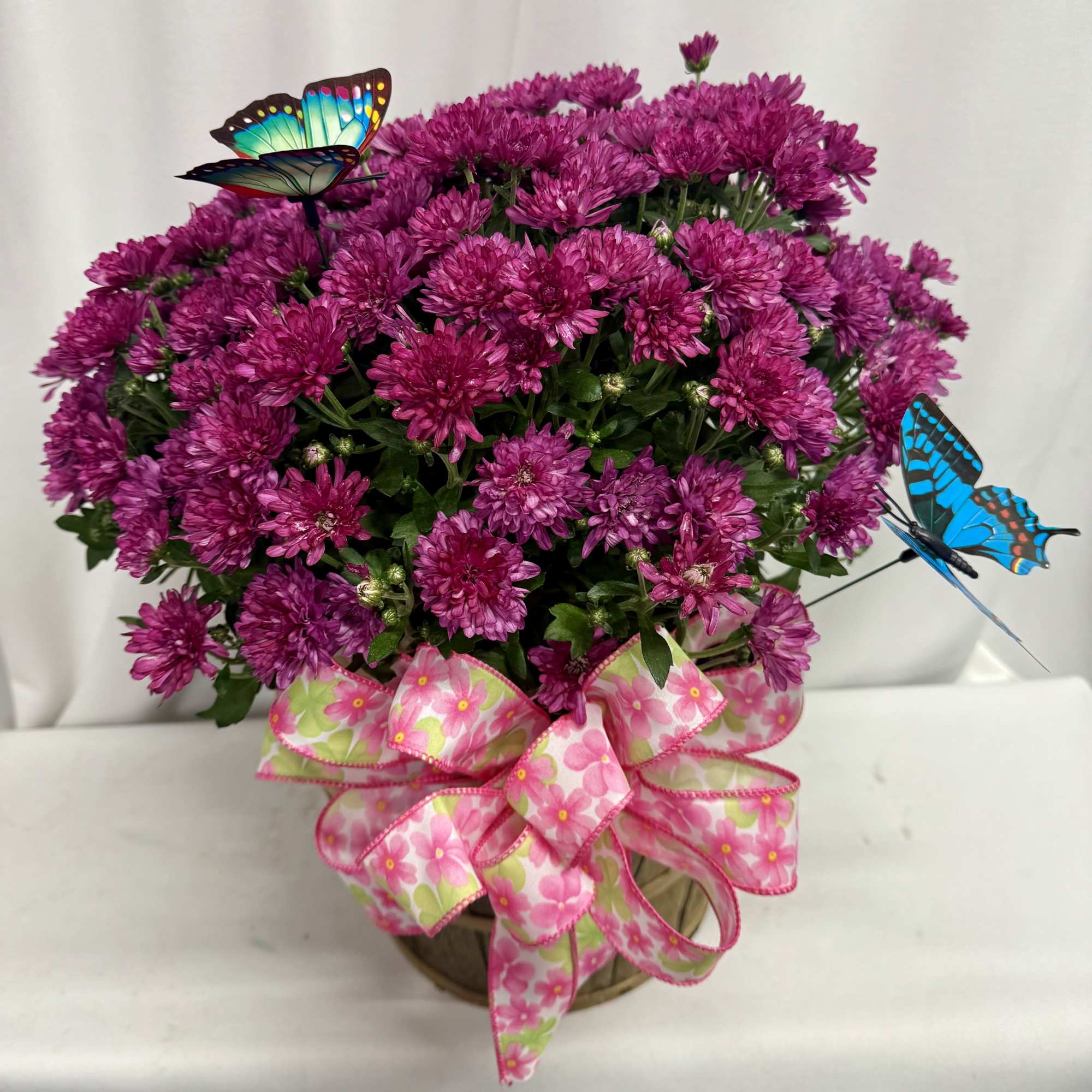 Magenta chrysanthemum bouquet in a basket with a pink floral ribbon and butterfly picks